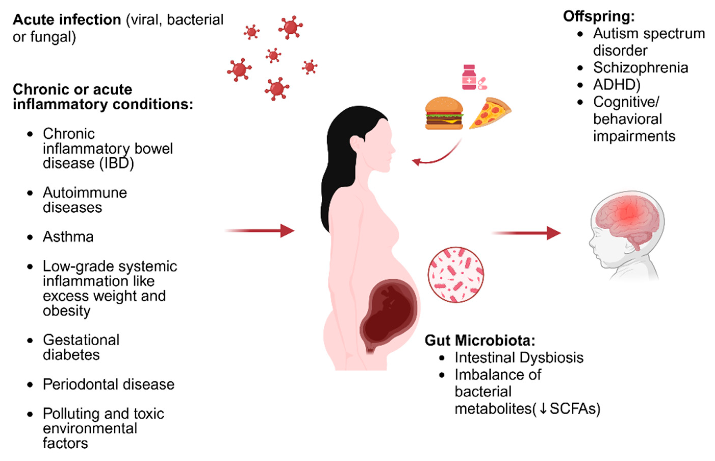 Nutrients 17 01033 g001
