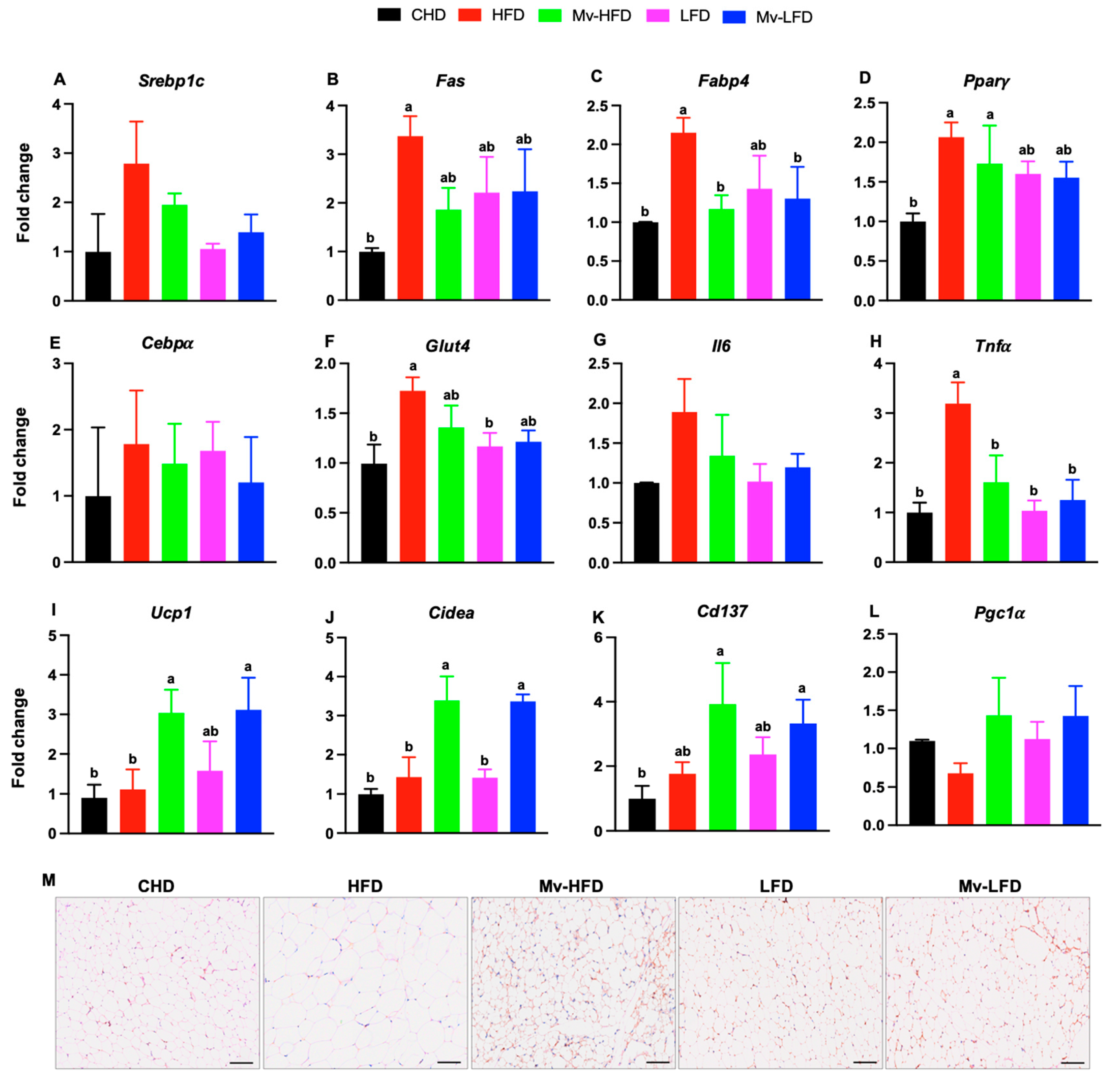 Nutrients 17 01045 g006