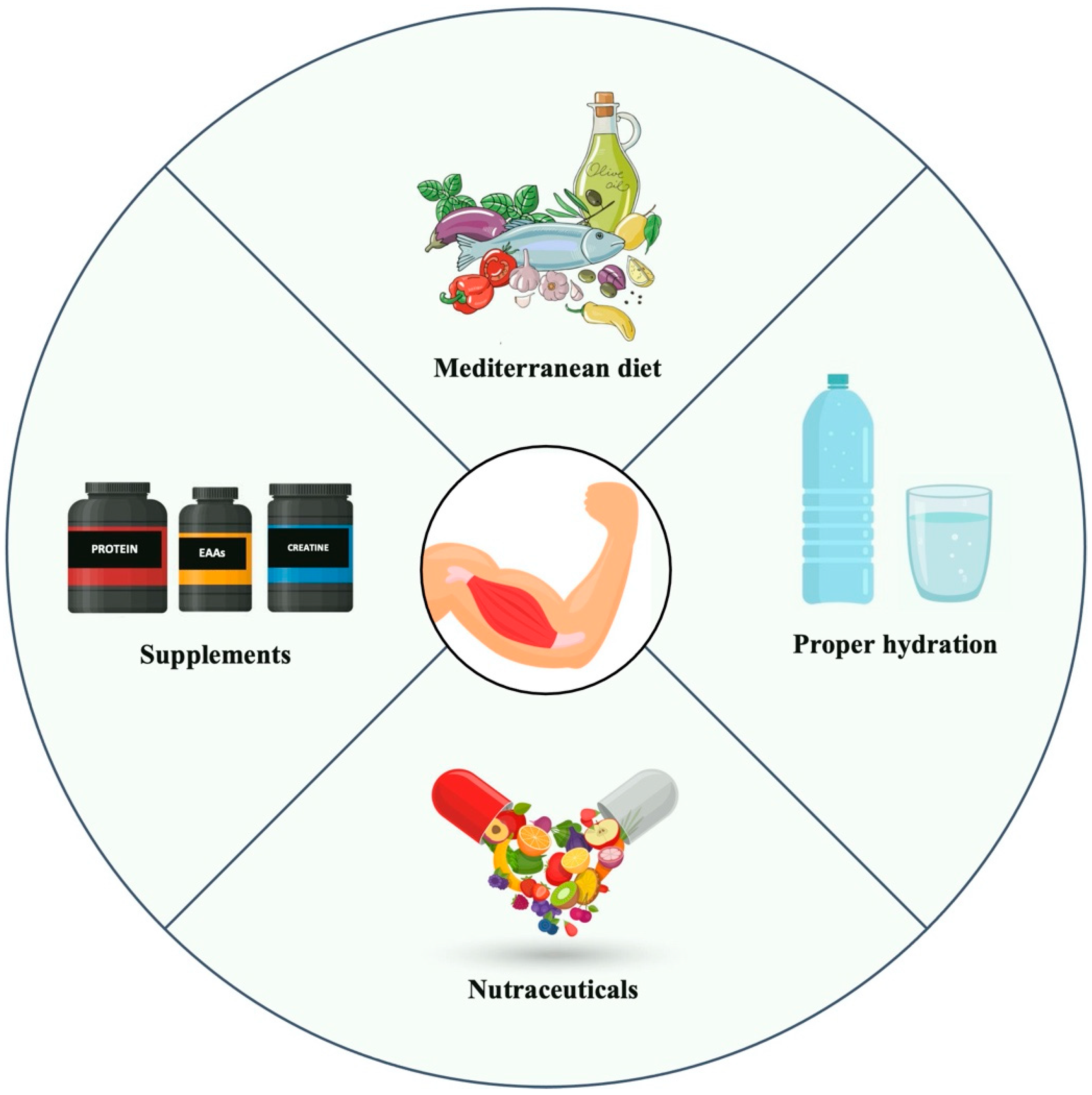 Nutrients 17 01056 g001