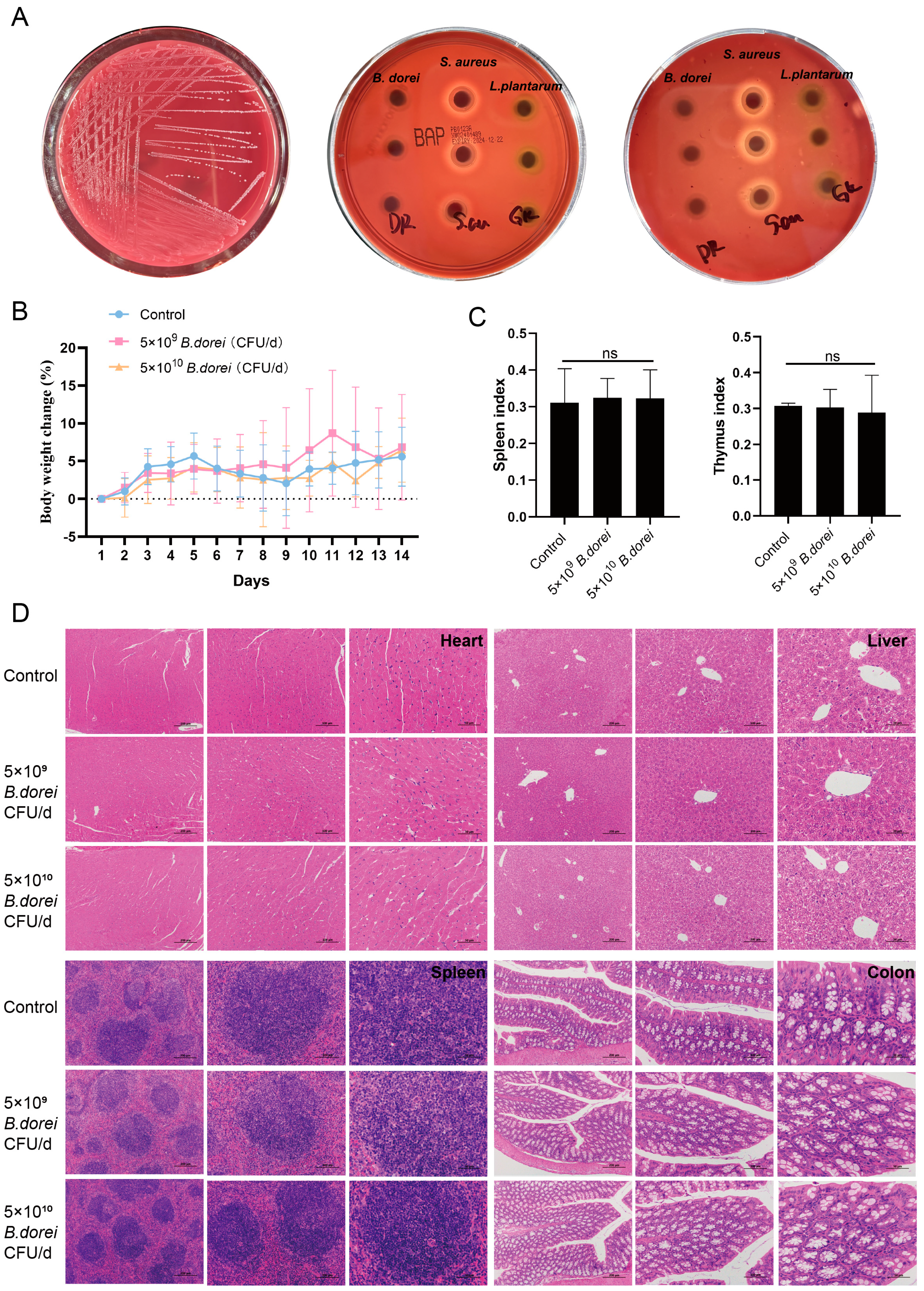 Nutrients 17 01066 g005
