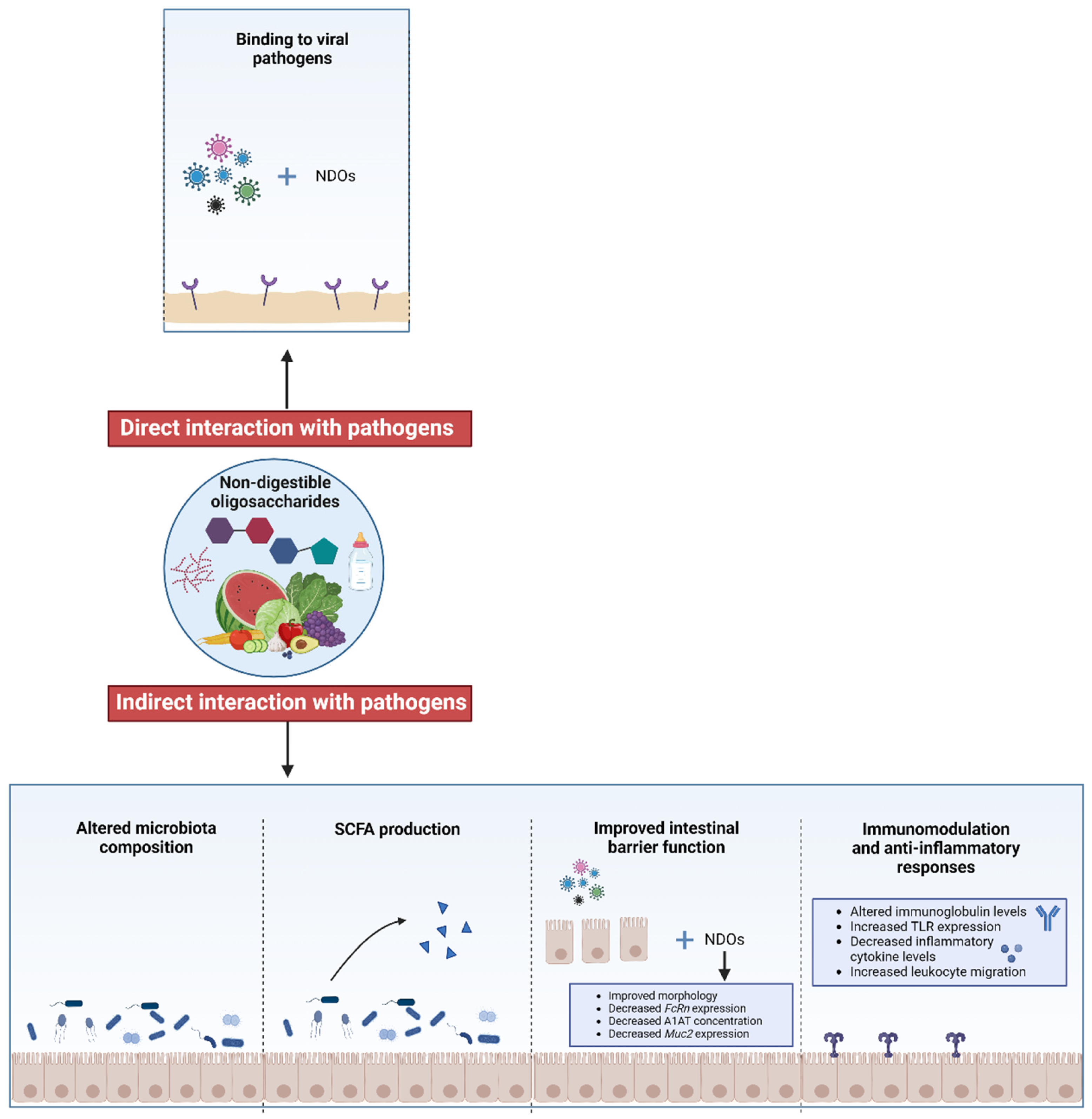 Nutrients 17 01068 g003