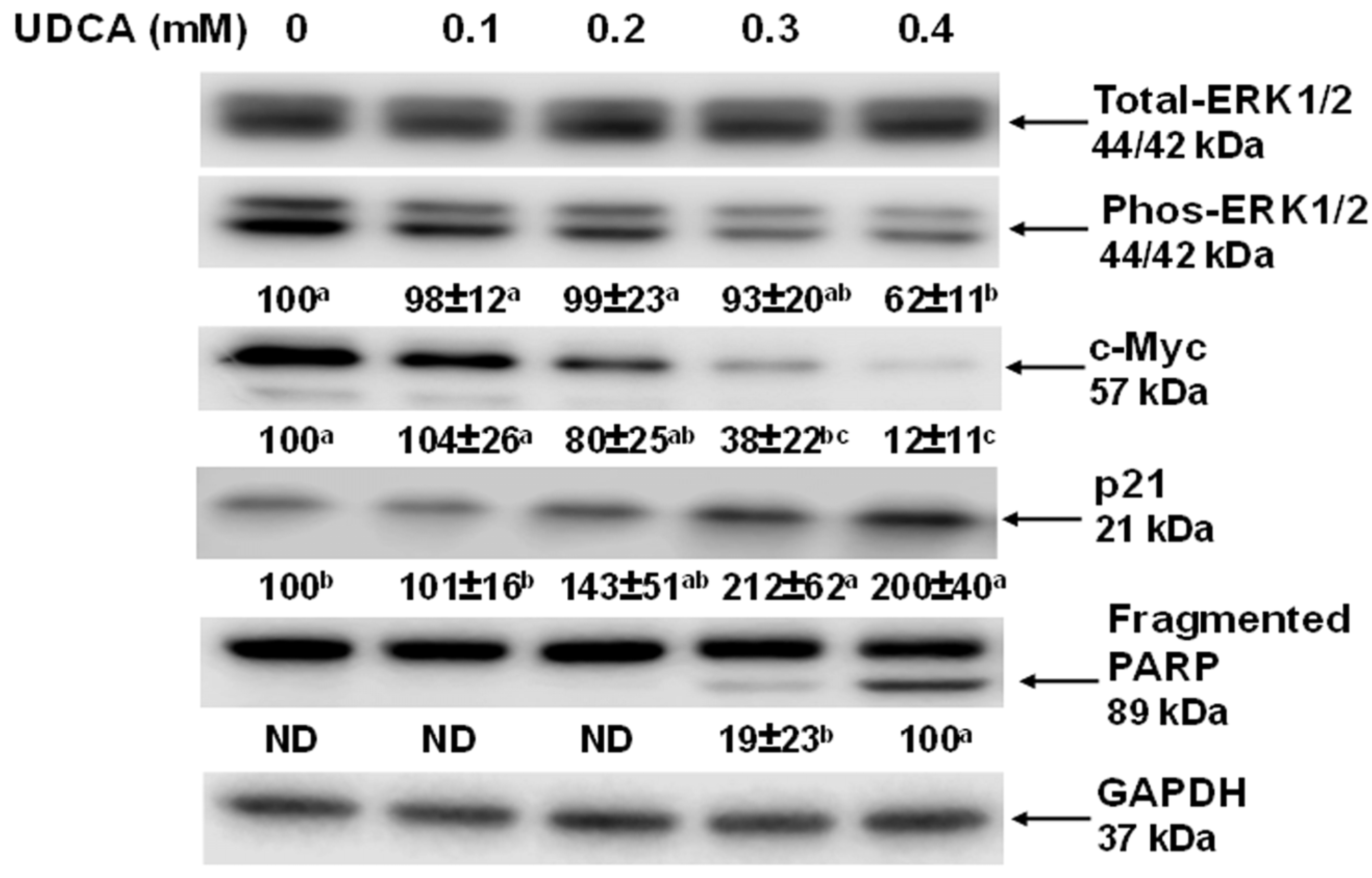 Nutrients 17 01072 g004