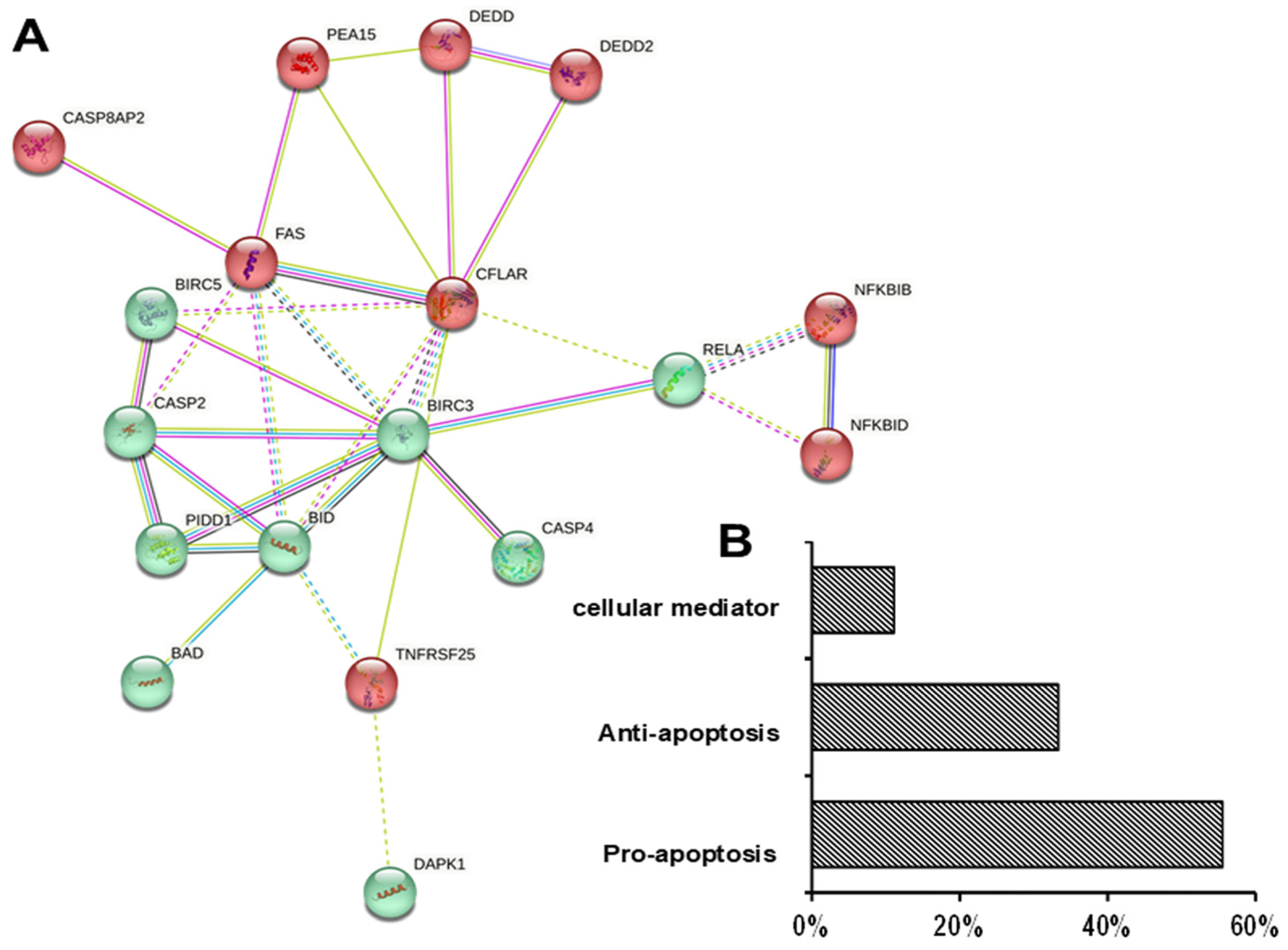 Nutrients 17 01072 g007