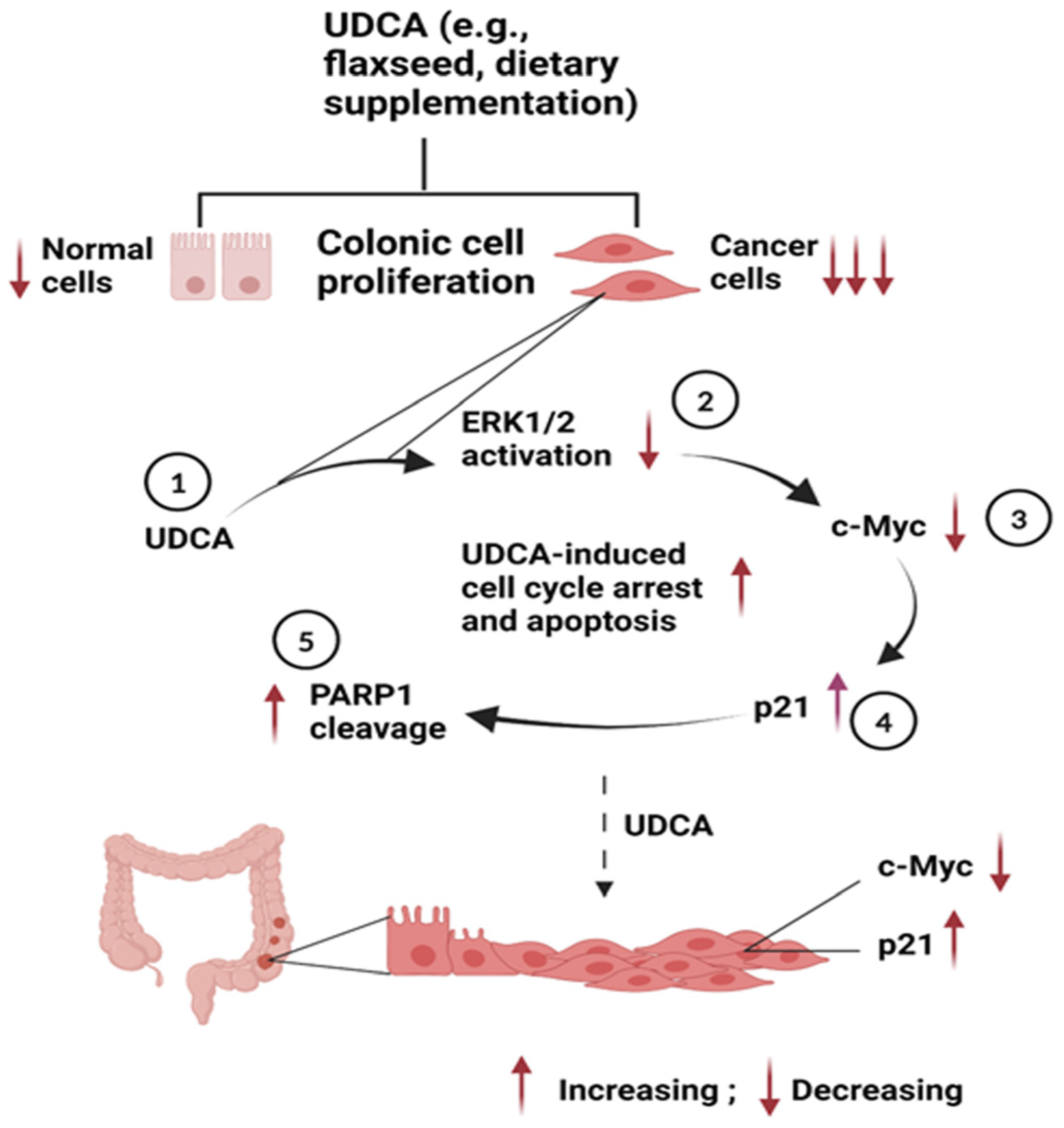 Nutrients 17 01072 g009