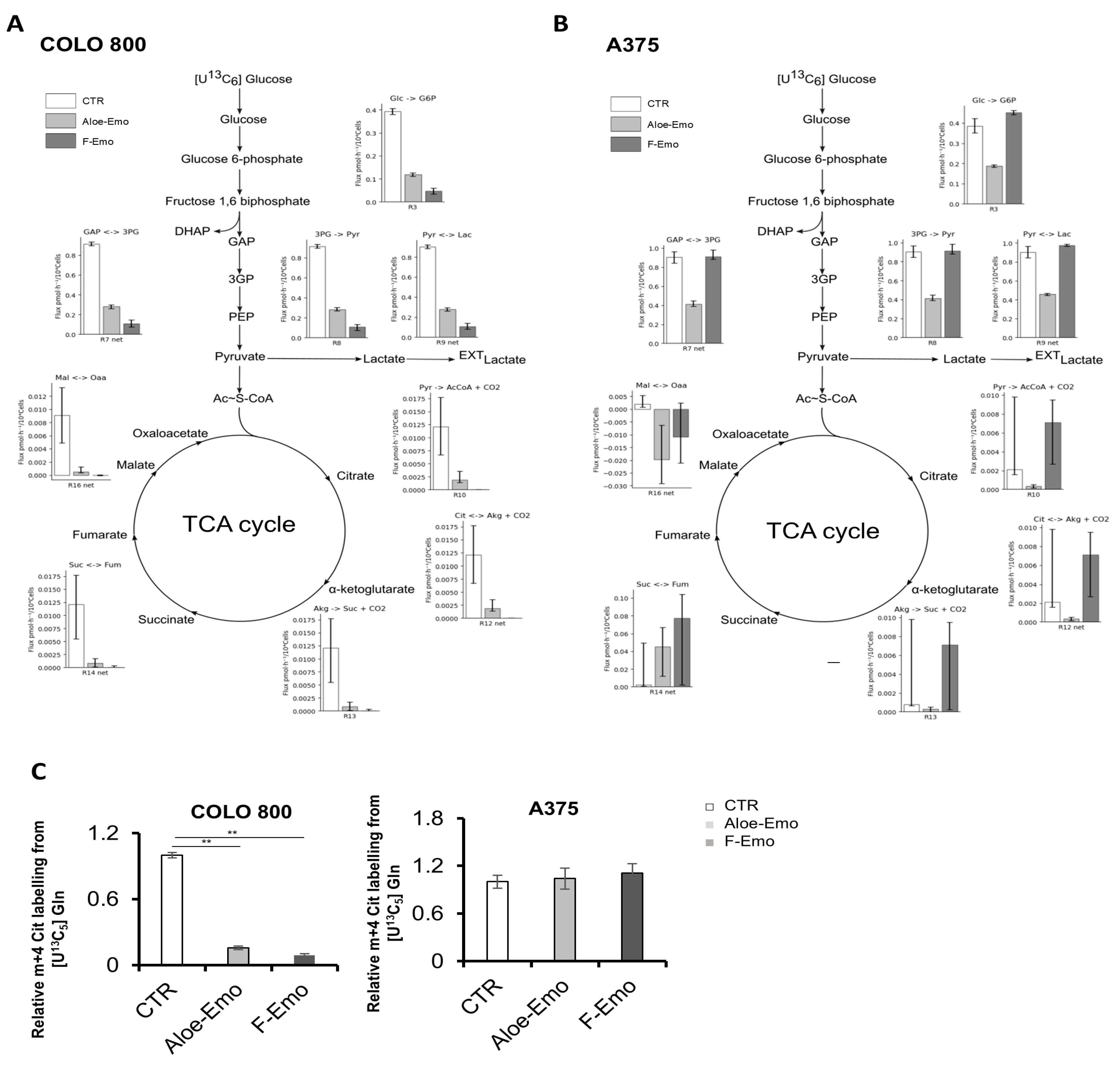 Nutrients 17 01113 g003