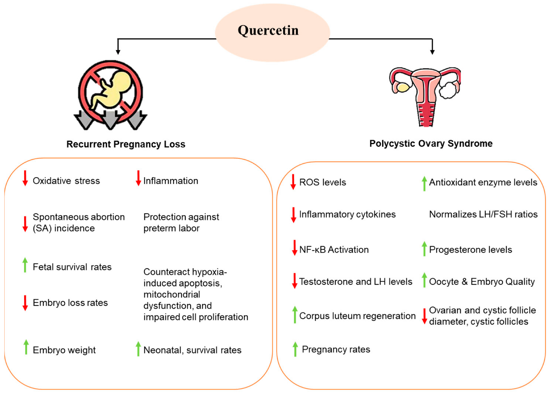 Nutrients 17 01118 g001