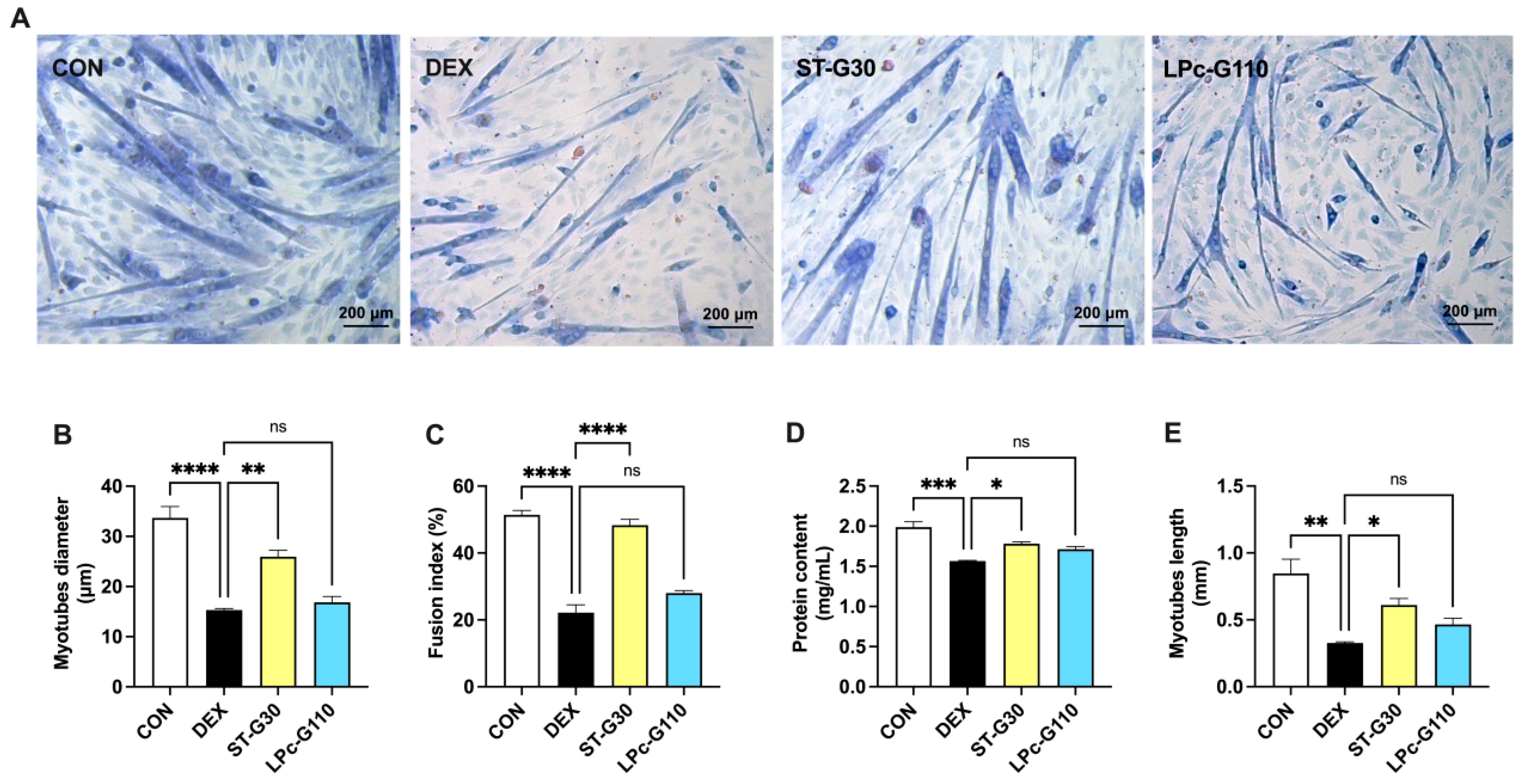 Nutrients 17 01141 g002