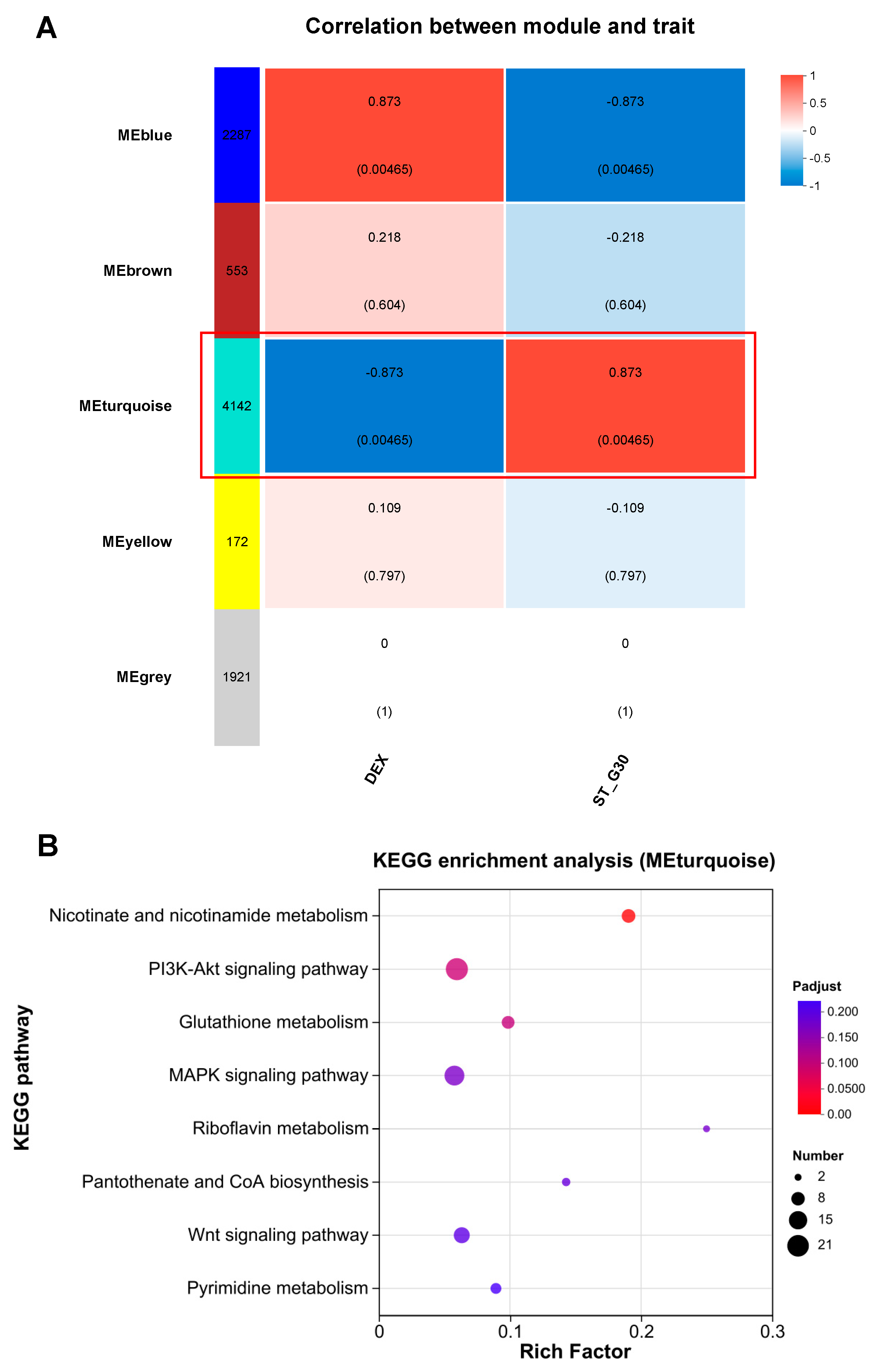 Nutrients 17 01141 g005