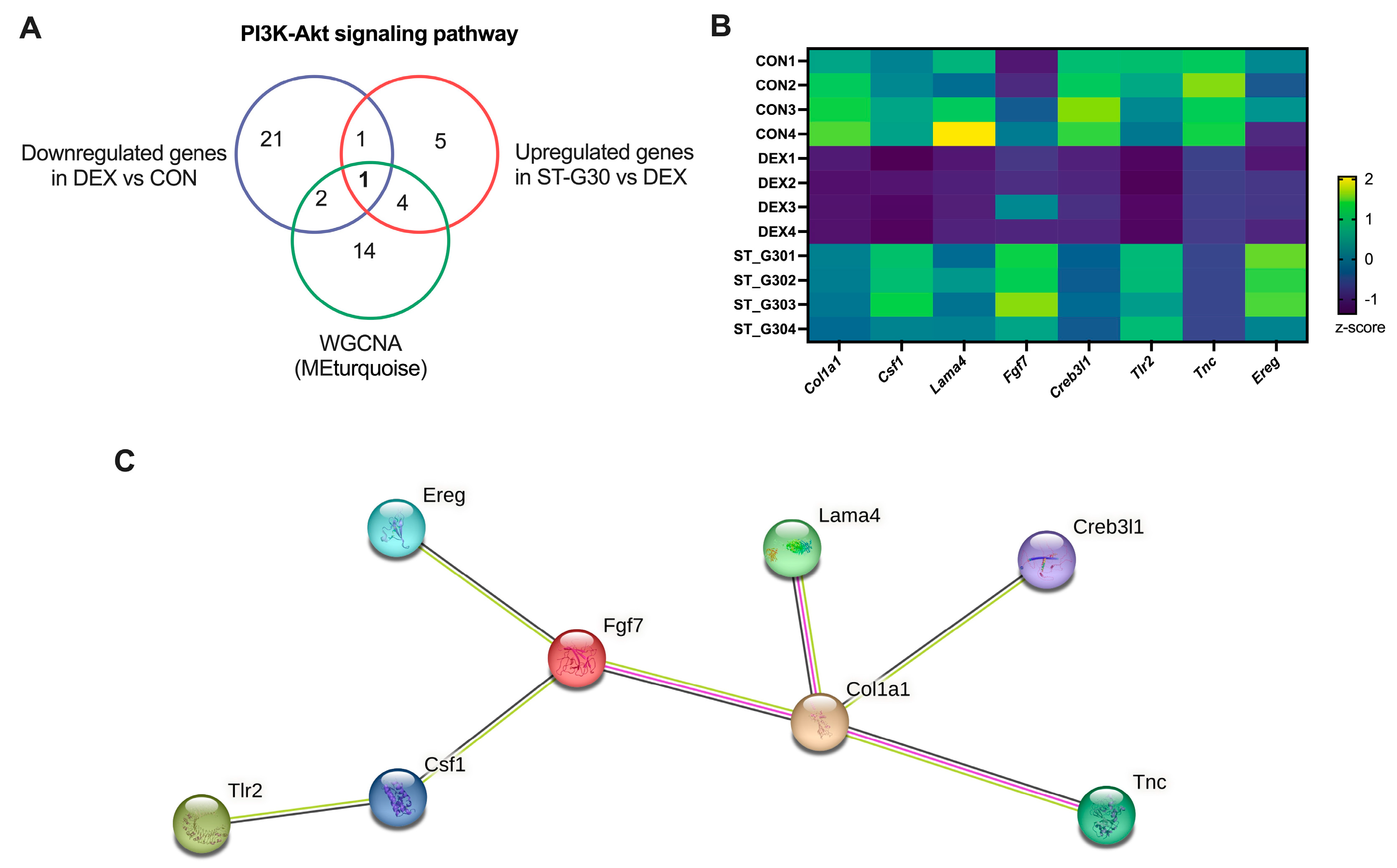 Nutrients 17 01141 g006