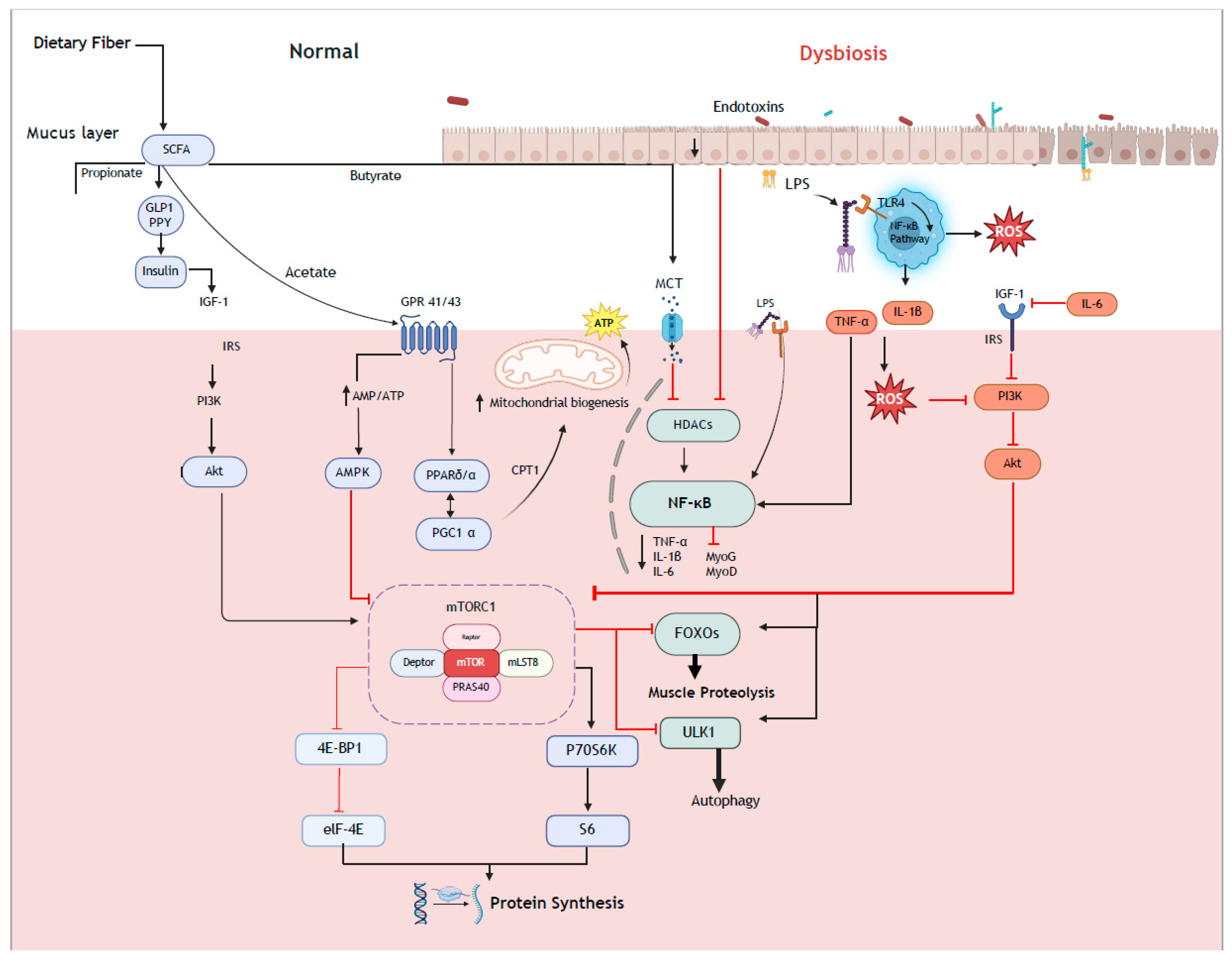 Nutrients 17 01142 g001