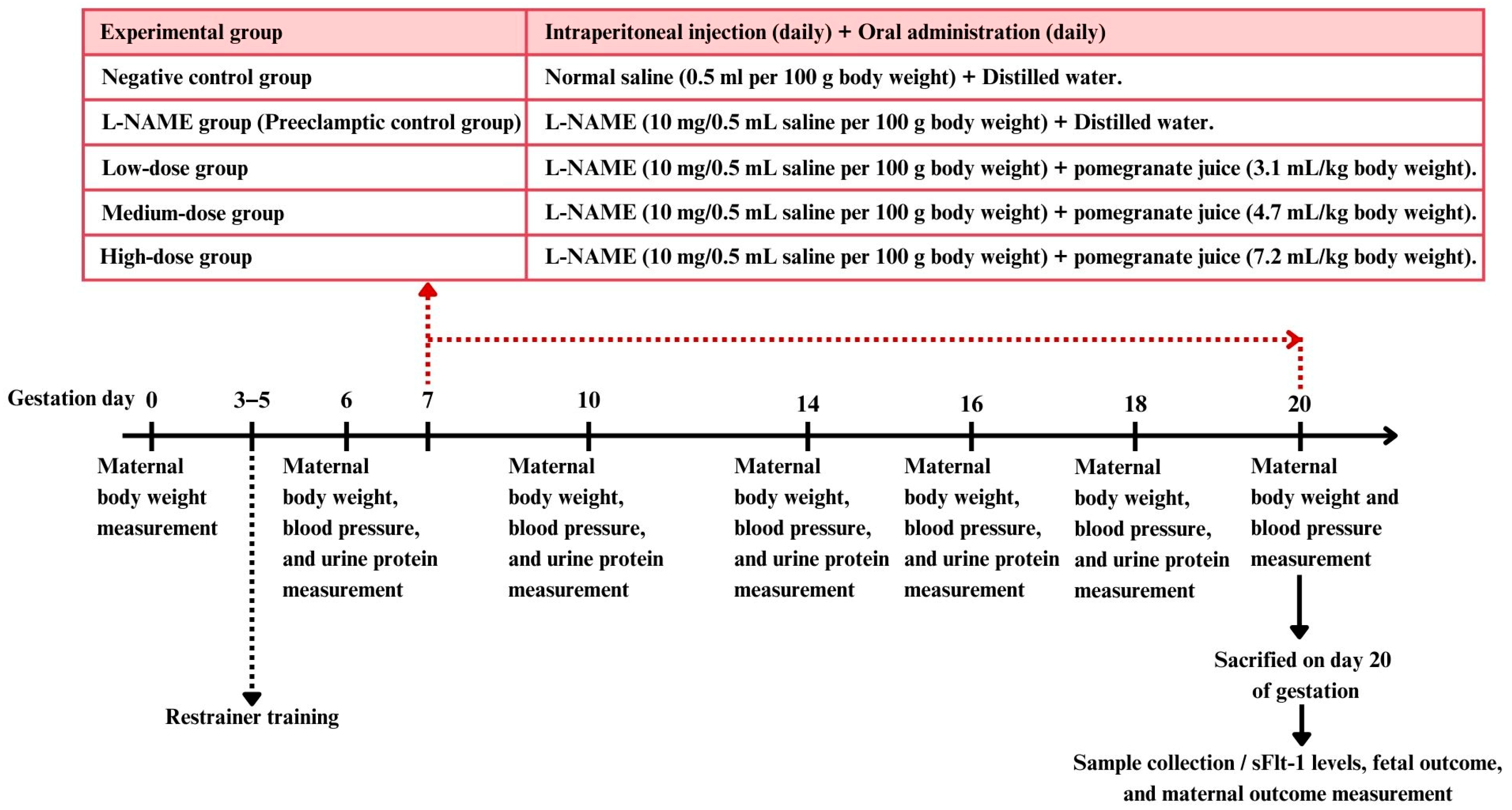 Nutrients 17 01143 g001