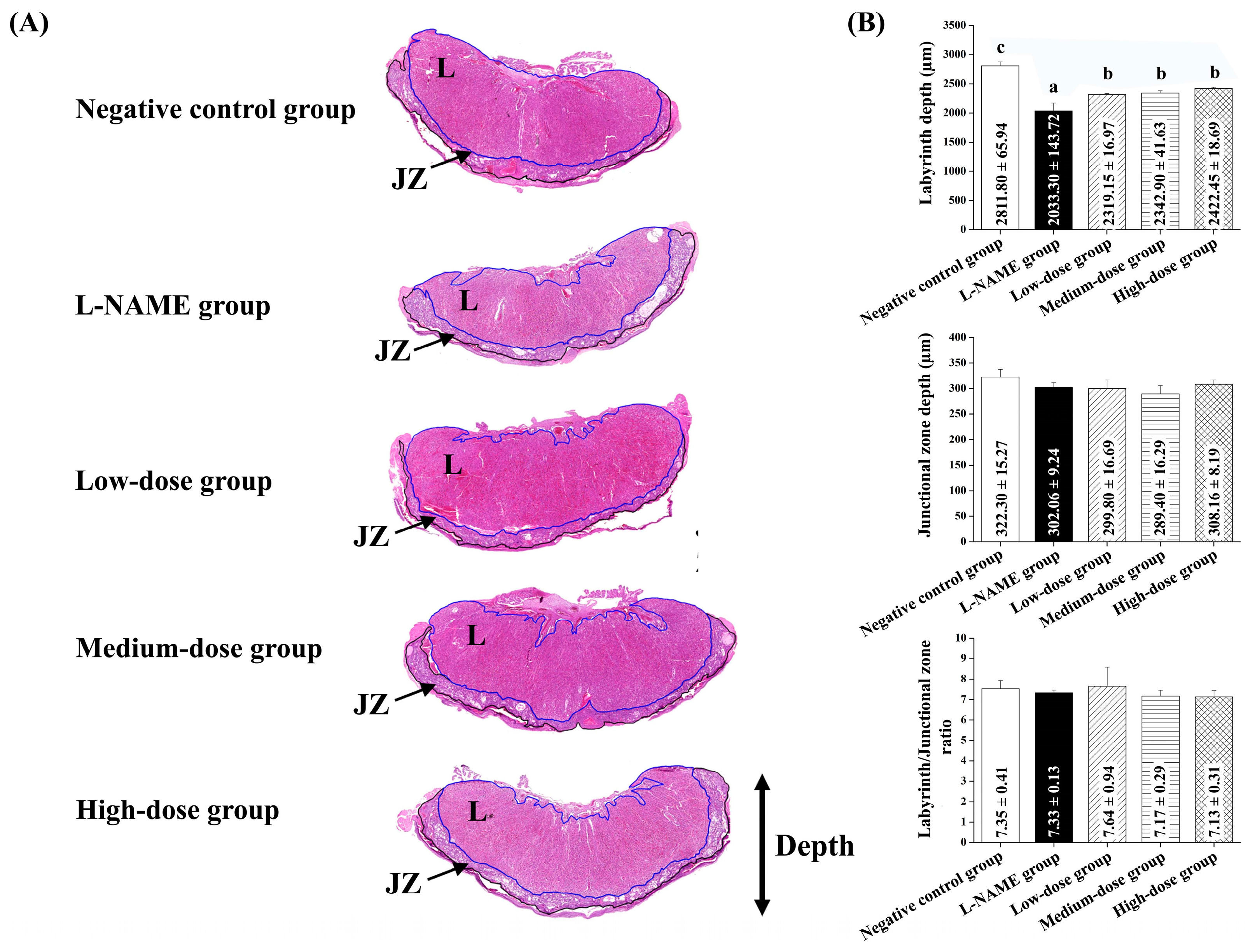 Nutrients 17 01143 g004