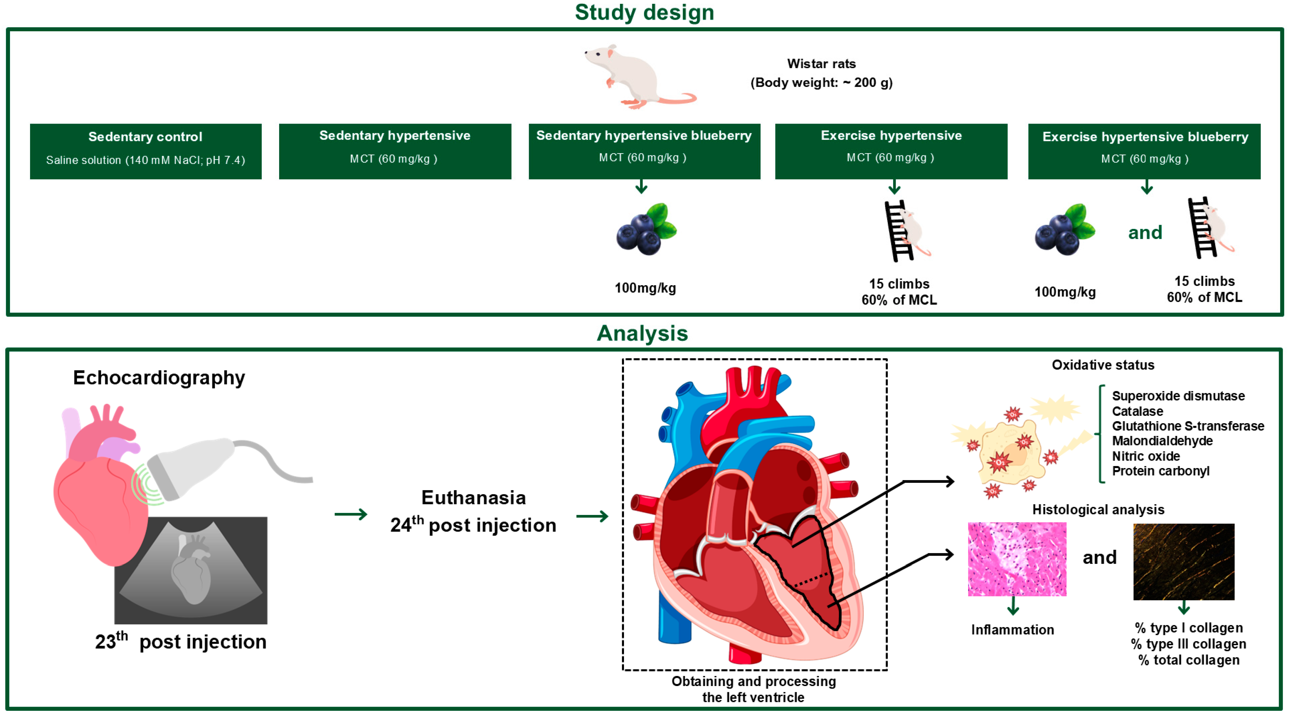 Nutrients 17 01145 g001