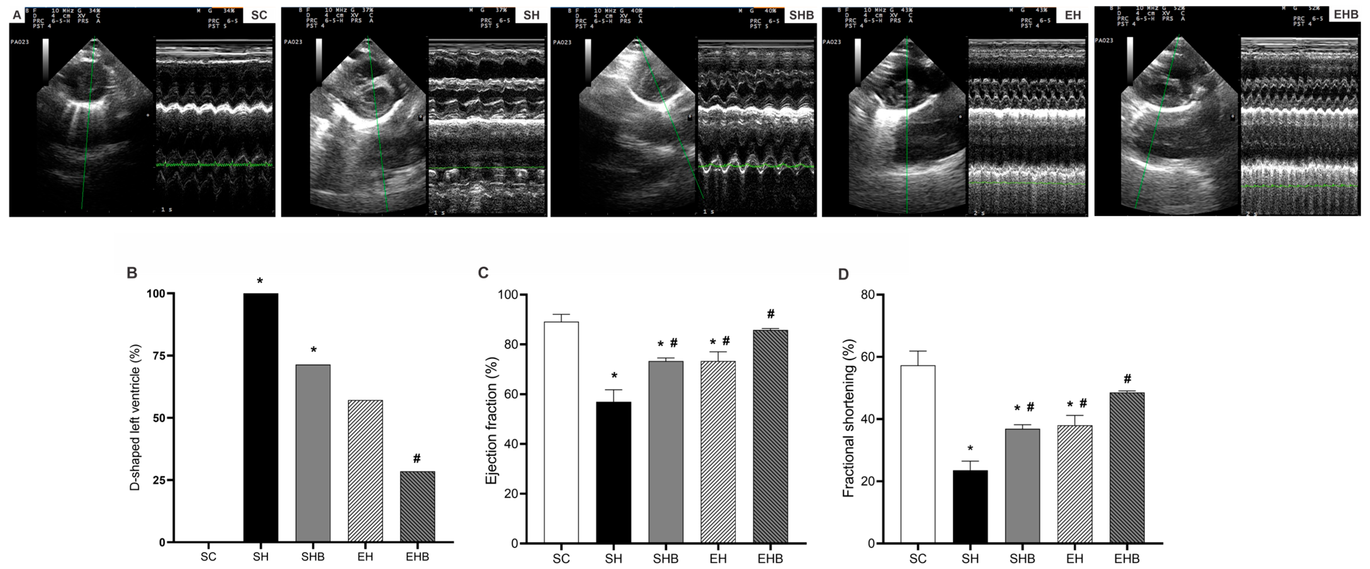 Nutrients 17 01145 g002