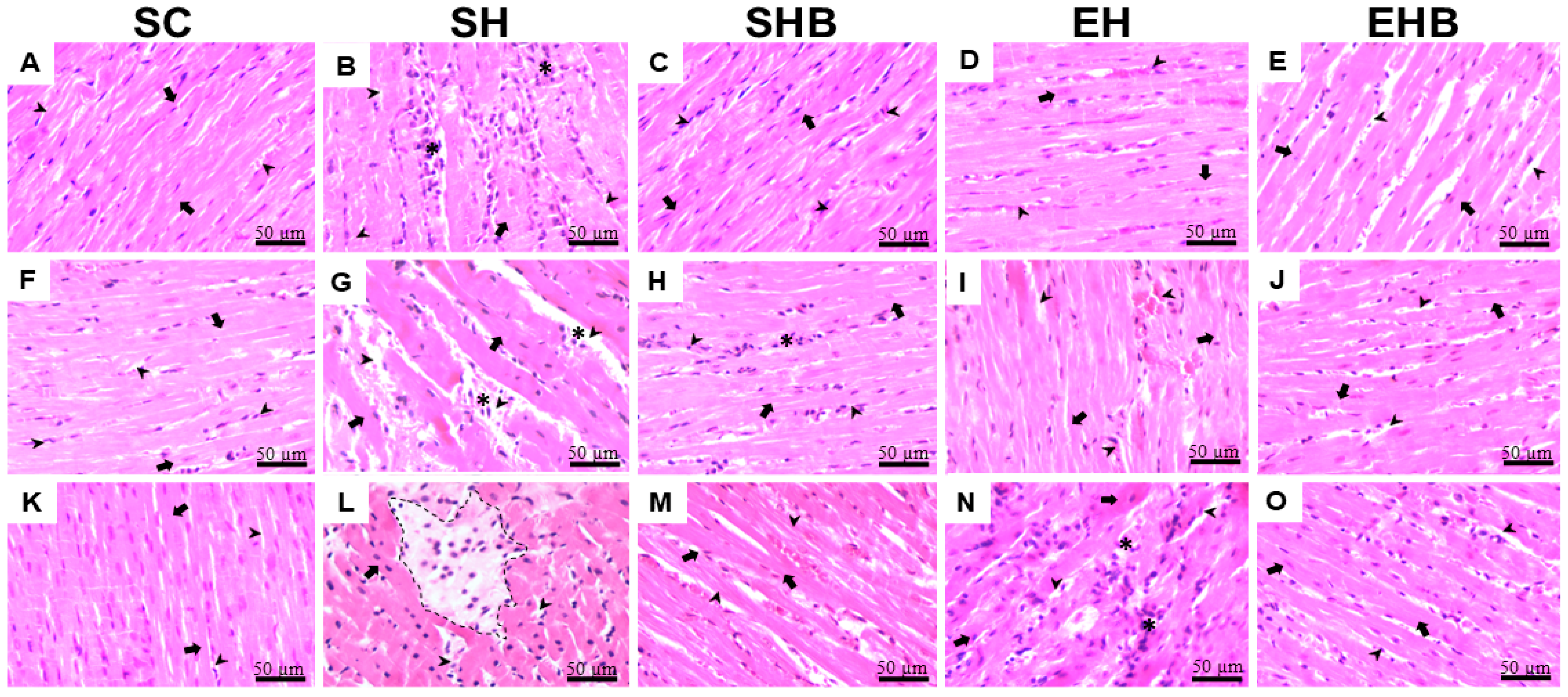 Nutrients 17 01145 g004