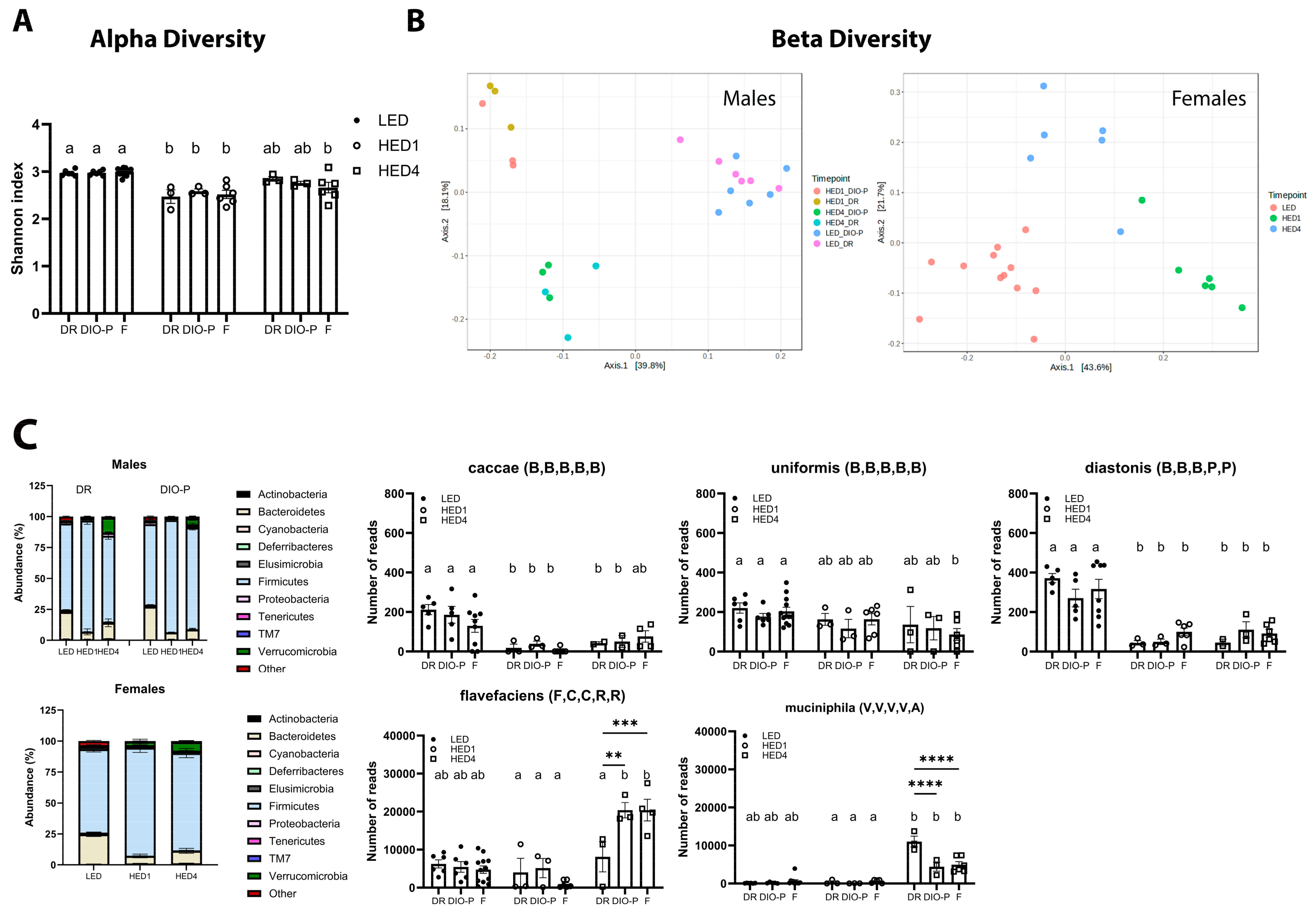 Nutrients 17 01147 g002