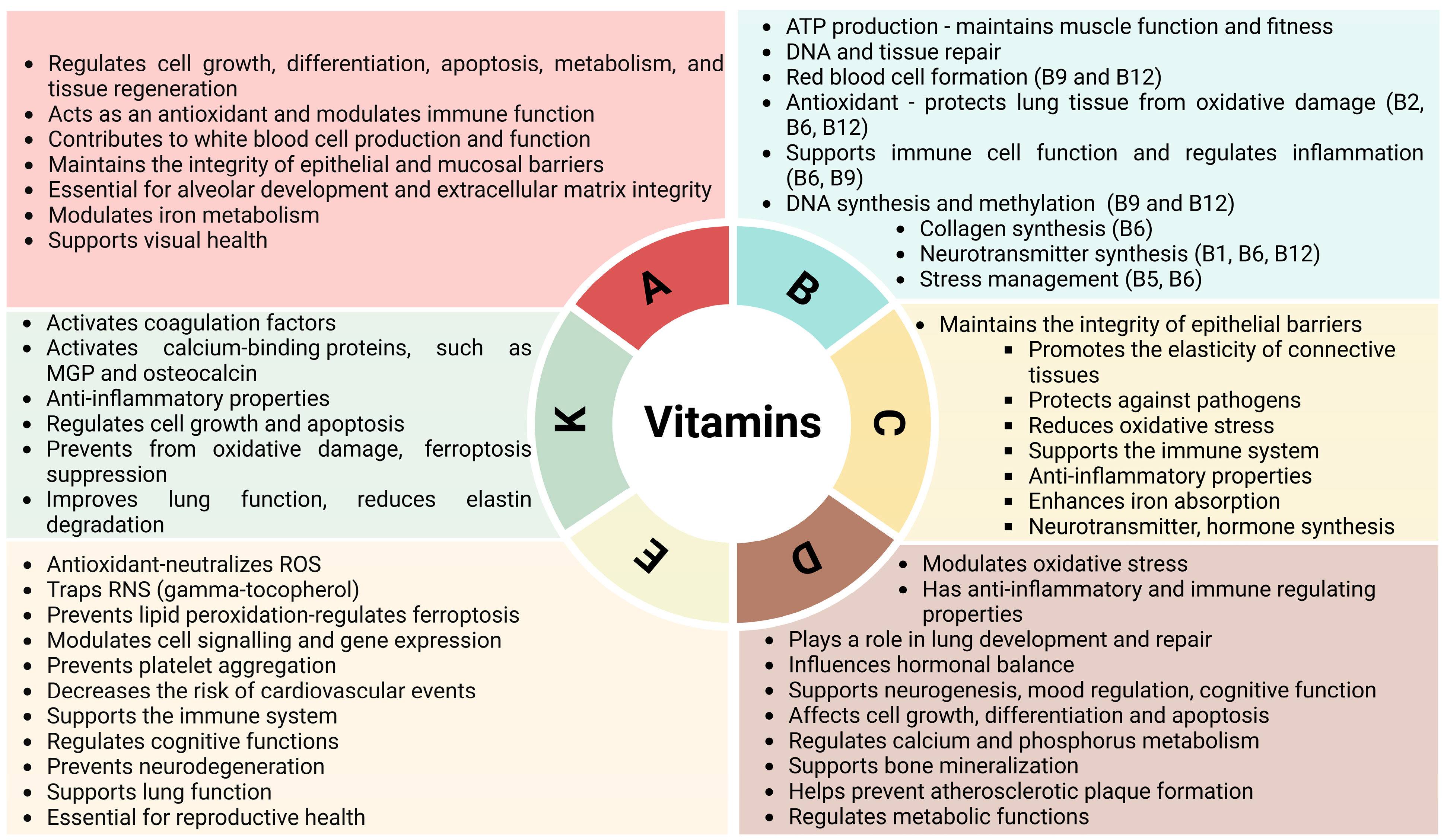 Nutrients 17 01149 g002