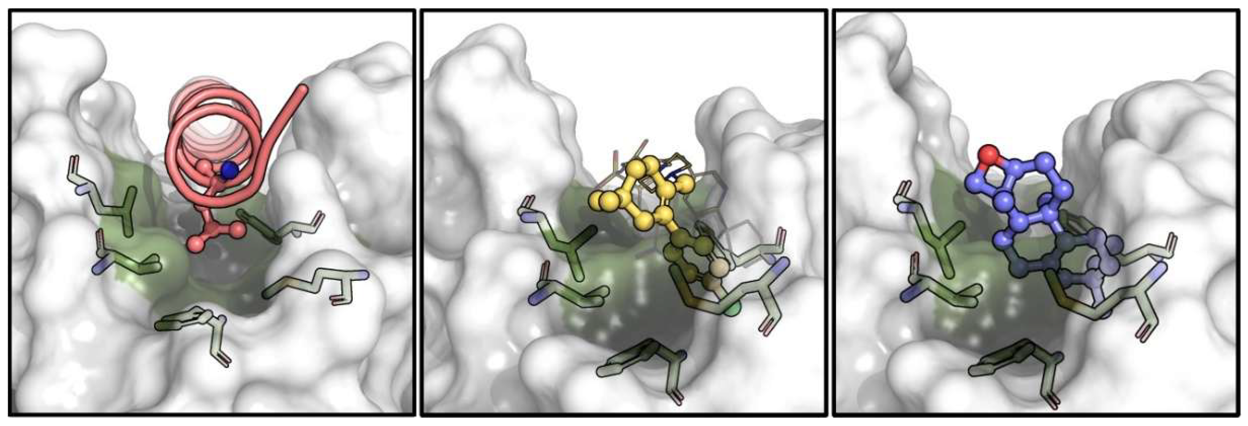 Nutrients 17 01164 g011