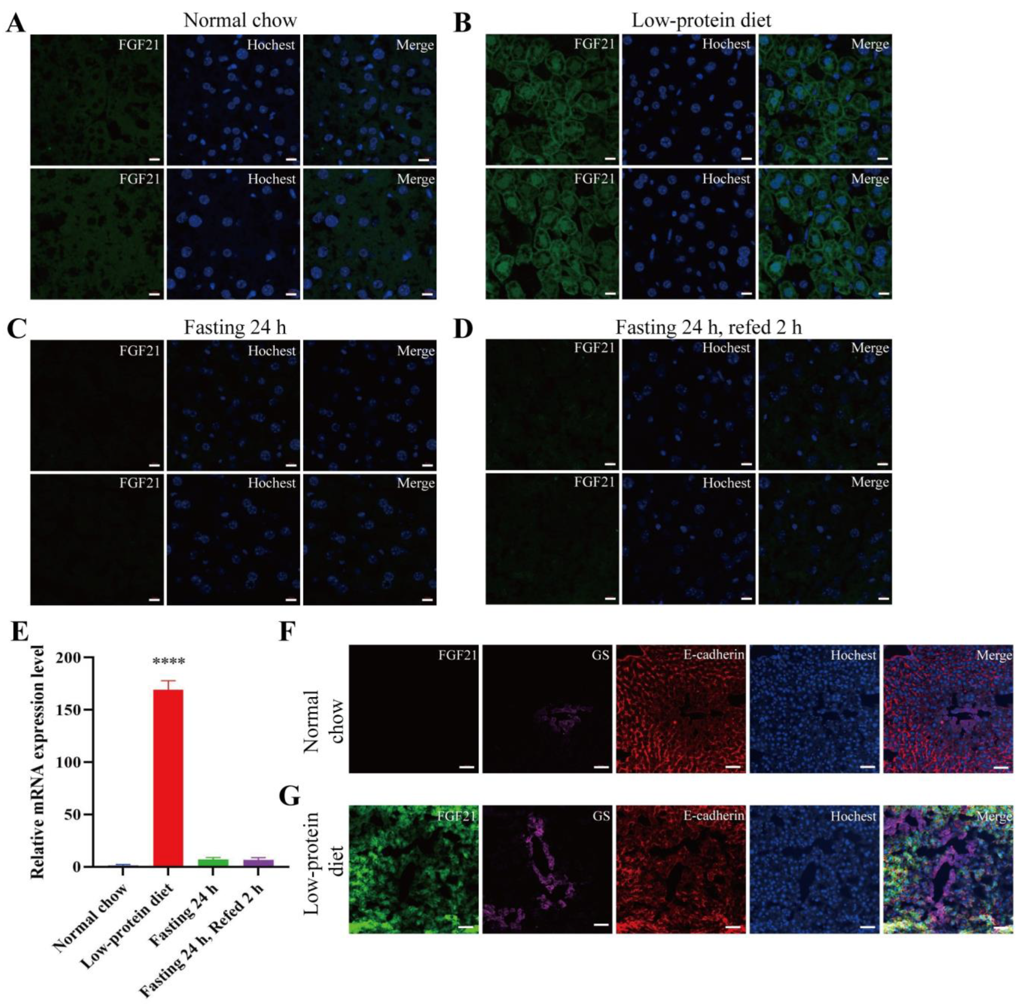 Nutrients 17 01179 g002