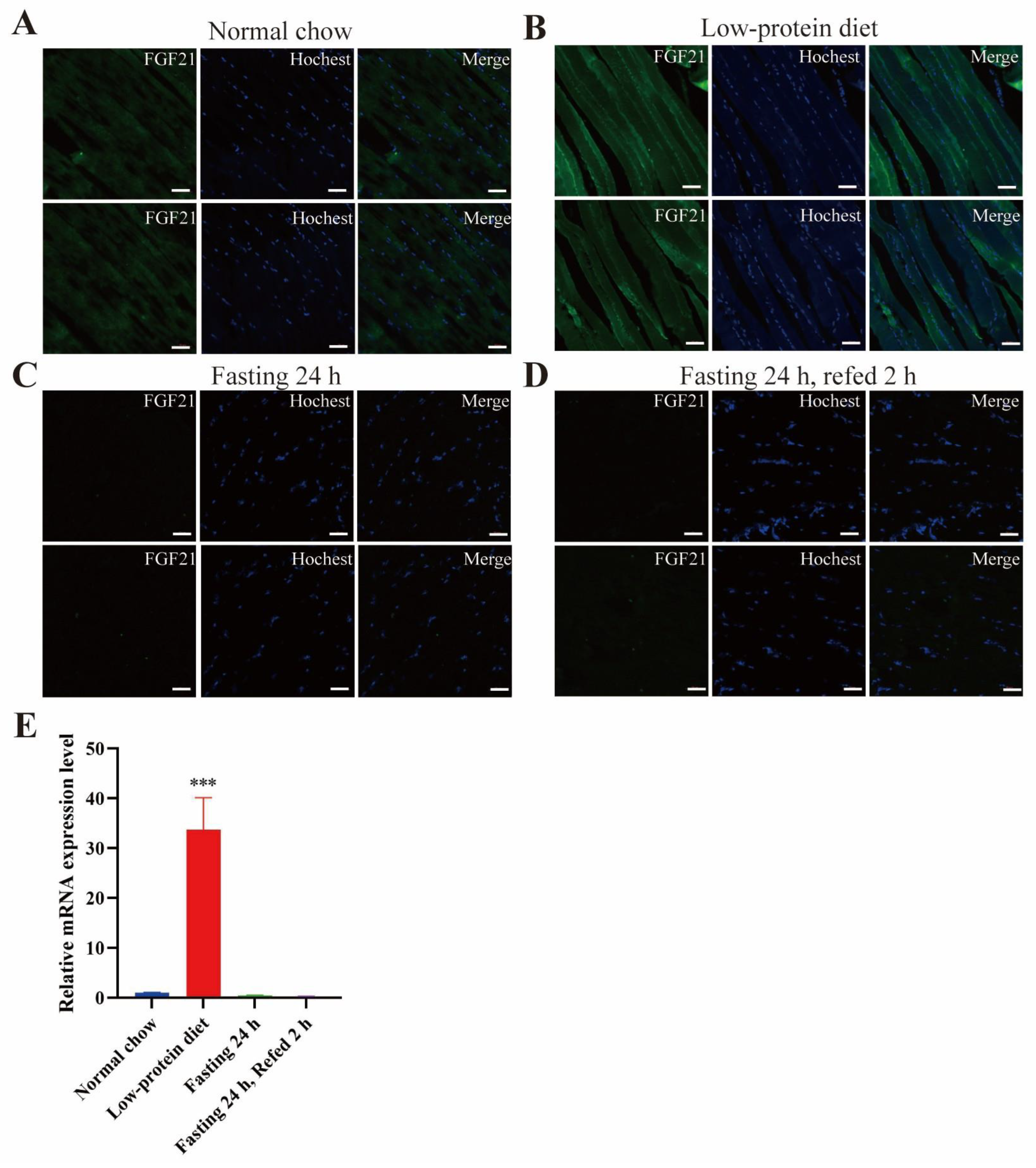 Nutrients 17 01179 g006