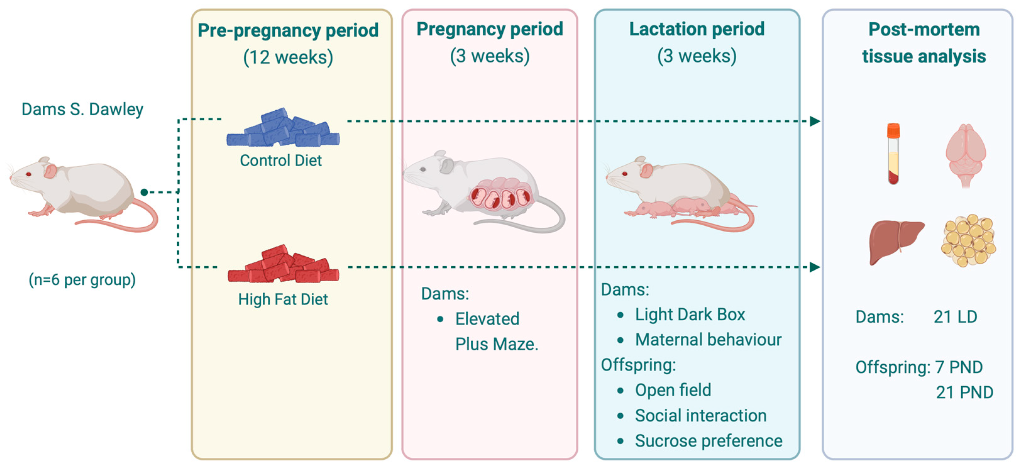 Nutrients 17 01180 g001 Nutrients 17 01180 g001
