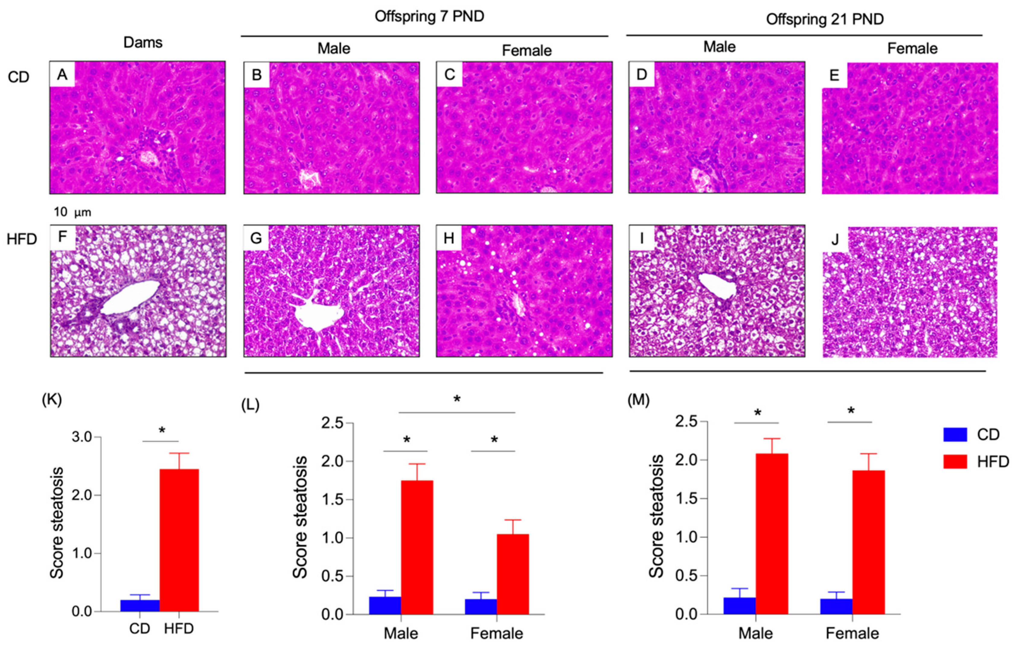 Nutrients 17 01180 g004 Nutrients 17 01180 g004