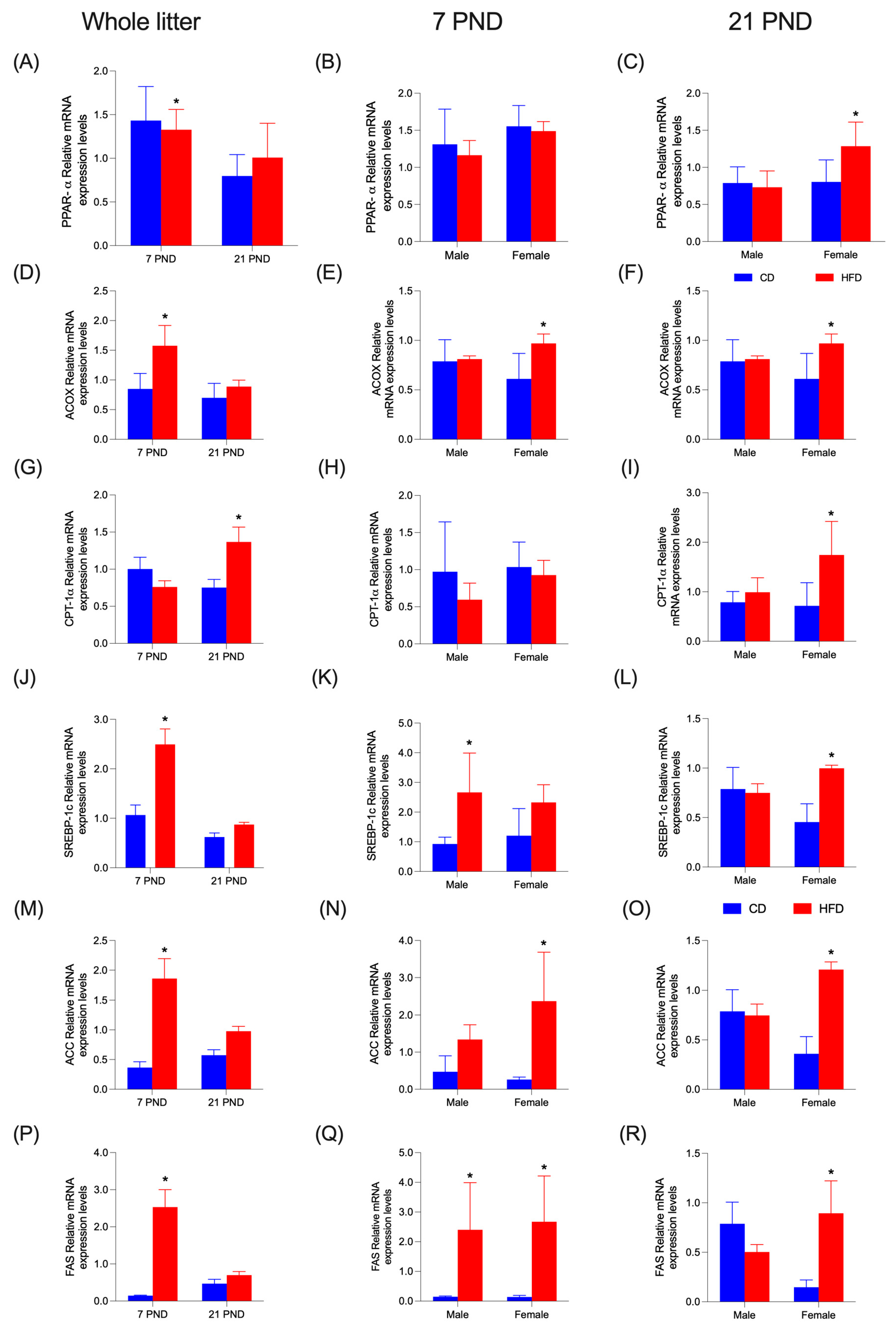 Nutrients 17 01180 g006 Nutrients 17 01180 g006