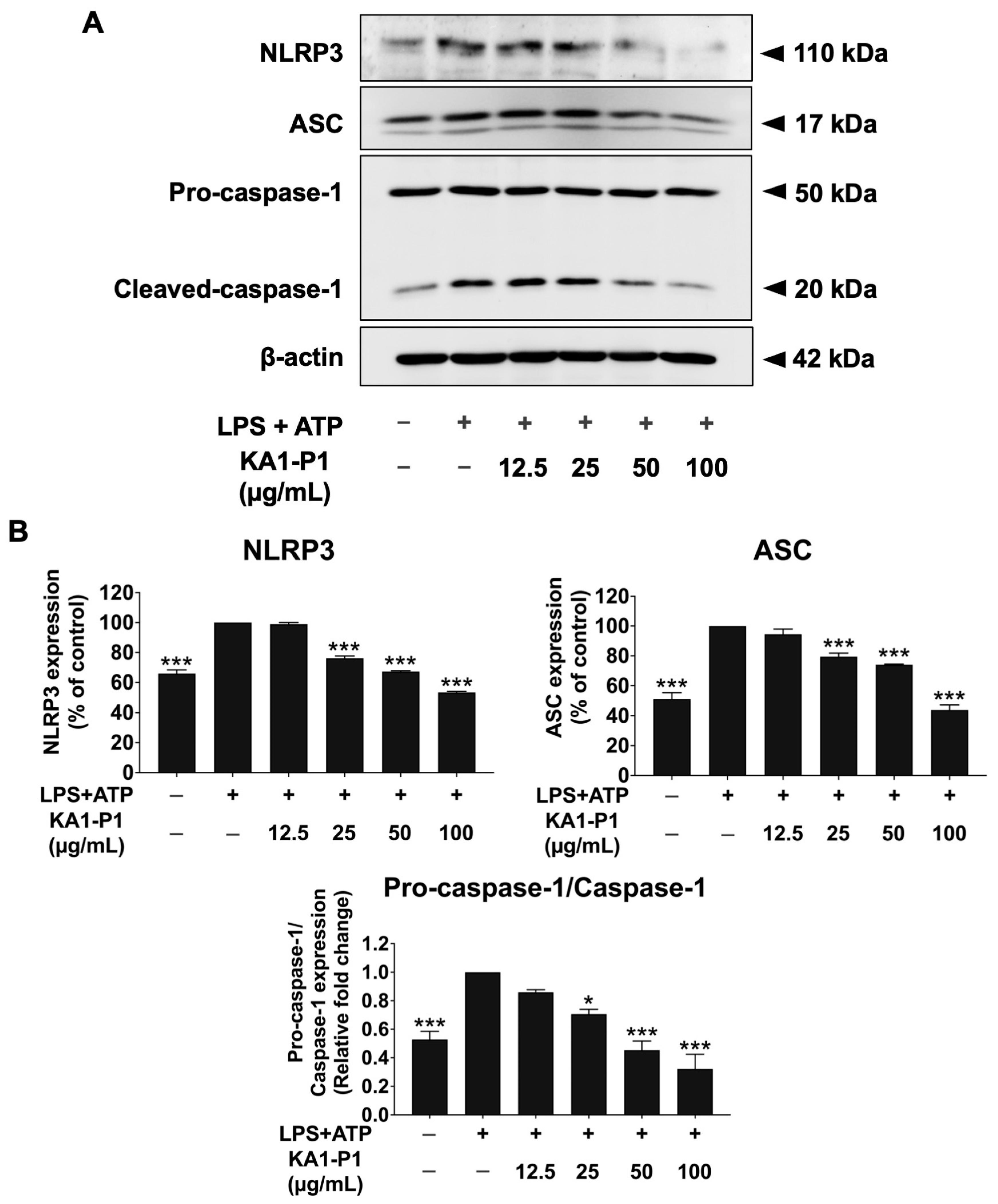 Nutrients 17 01186 g005