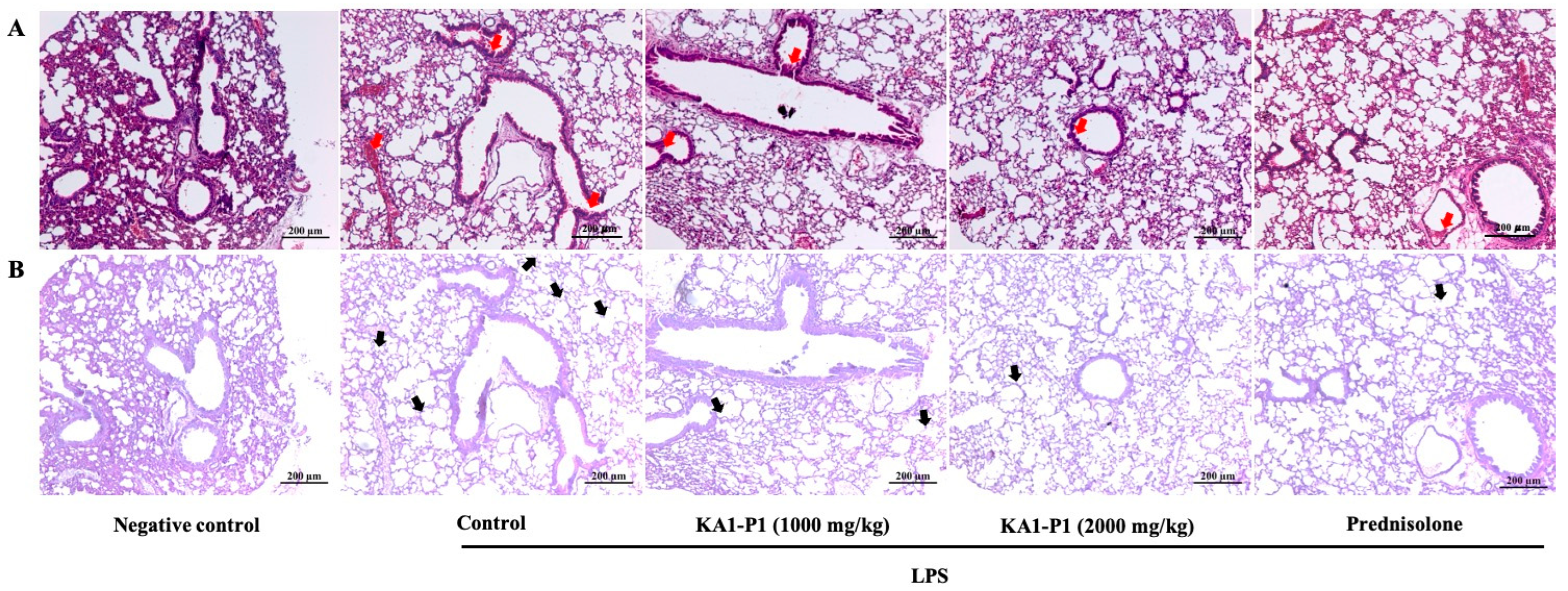 Nutrients 17 01186 g006