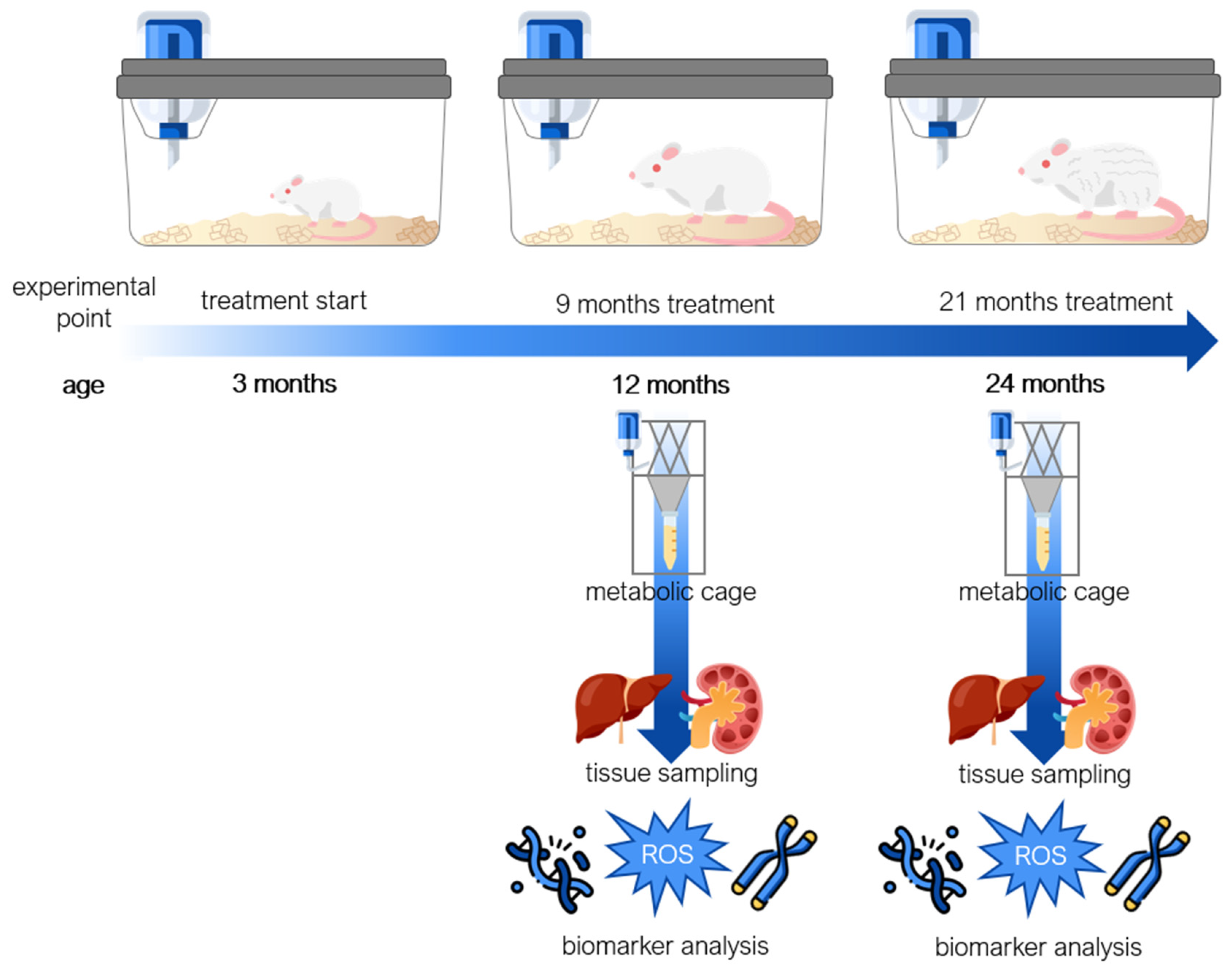 Nutrients 17 01187 g008