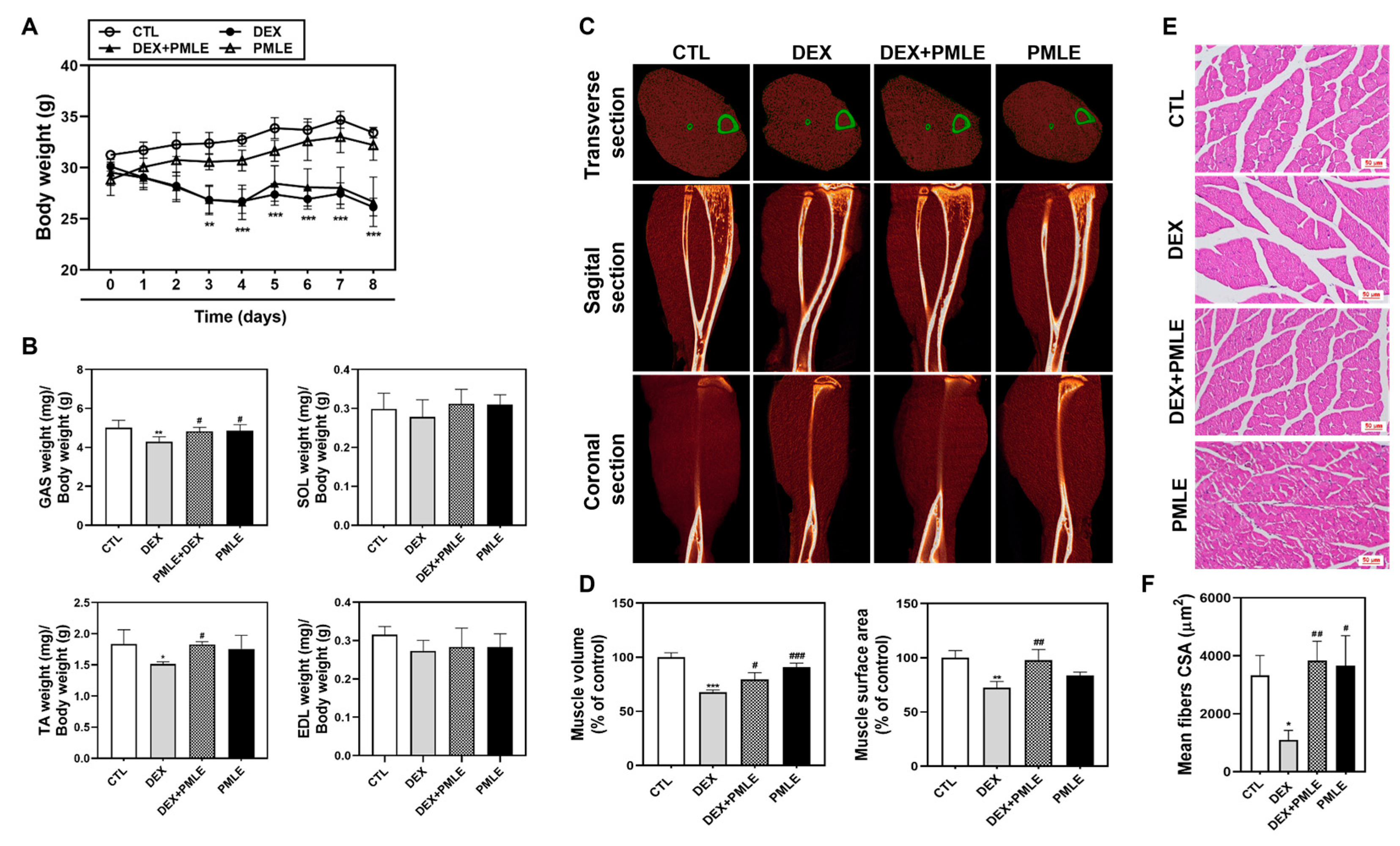 Nutrients 17 01217 g005
