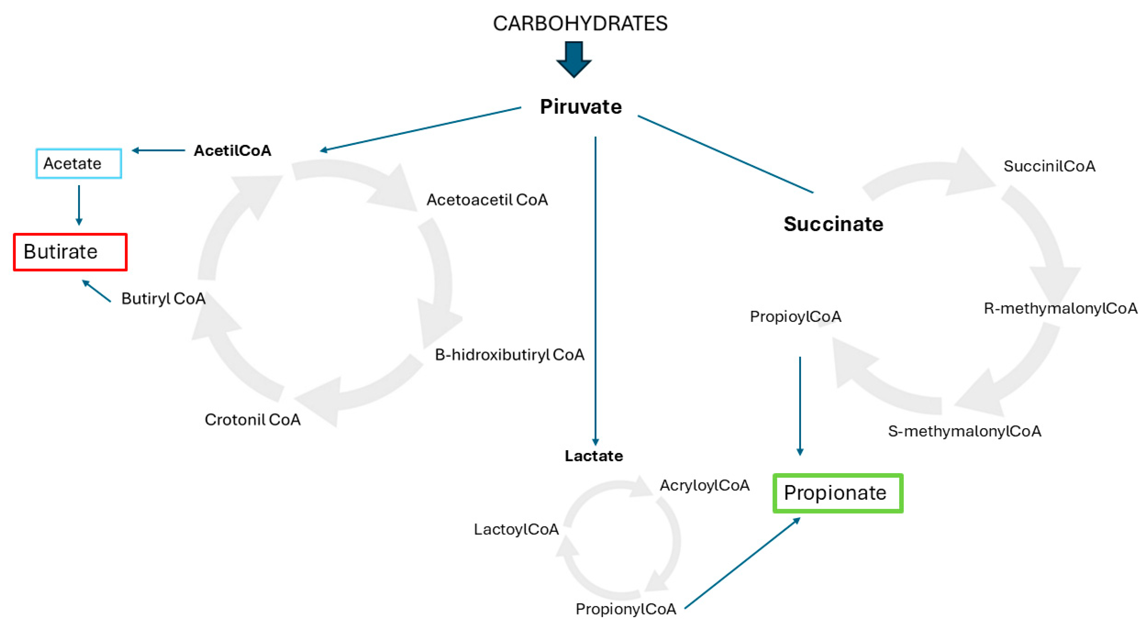 Nutrients 17 01222 g001