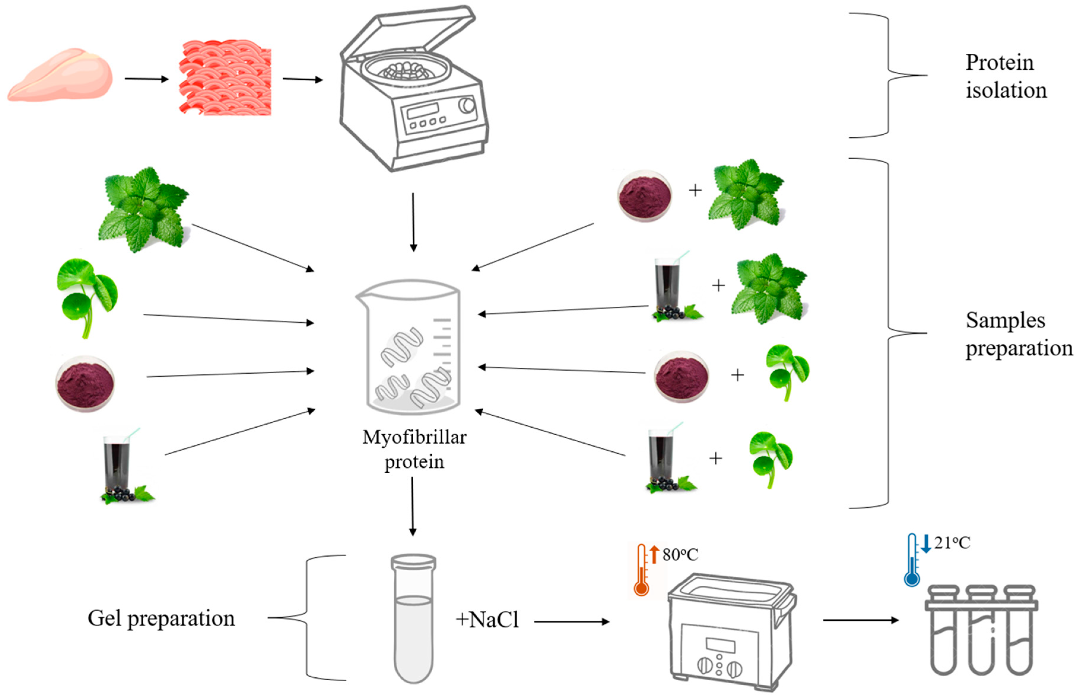 Nutrients 17 01232 g002