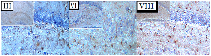 Nutrients 17 01238 i001