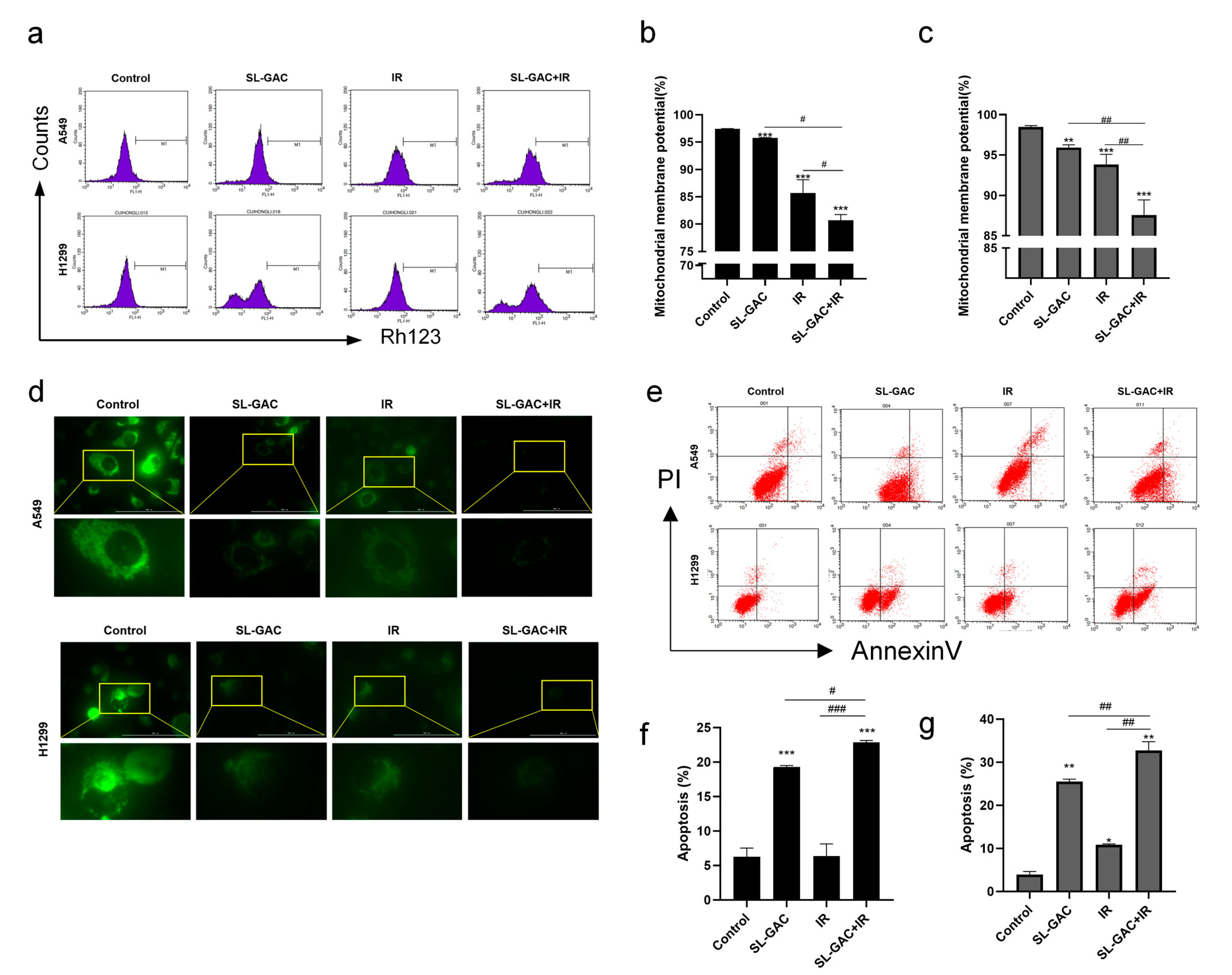 Nutrients 17 01262 g003