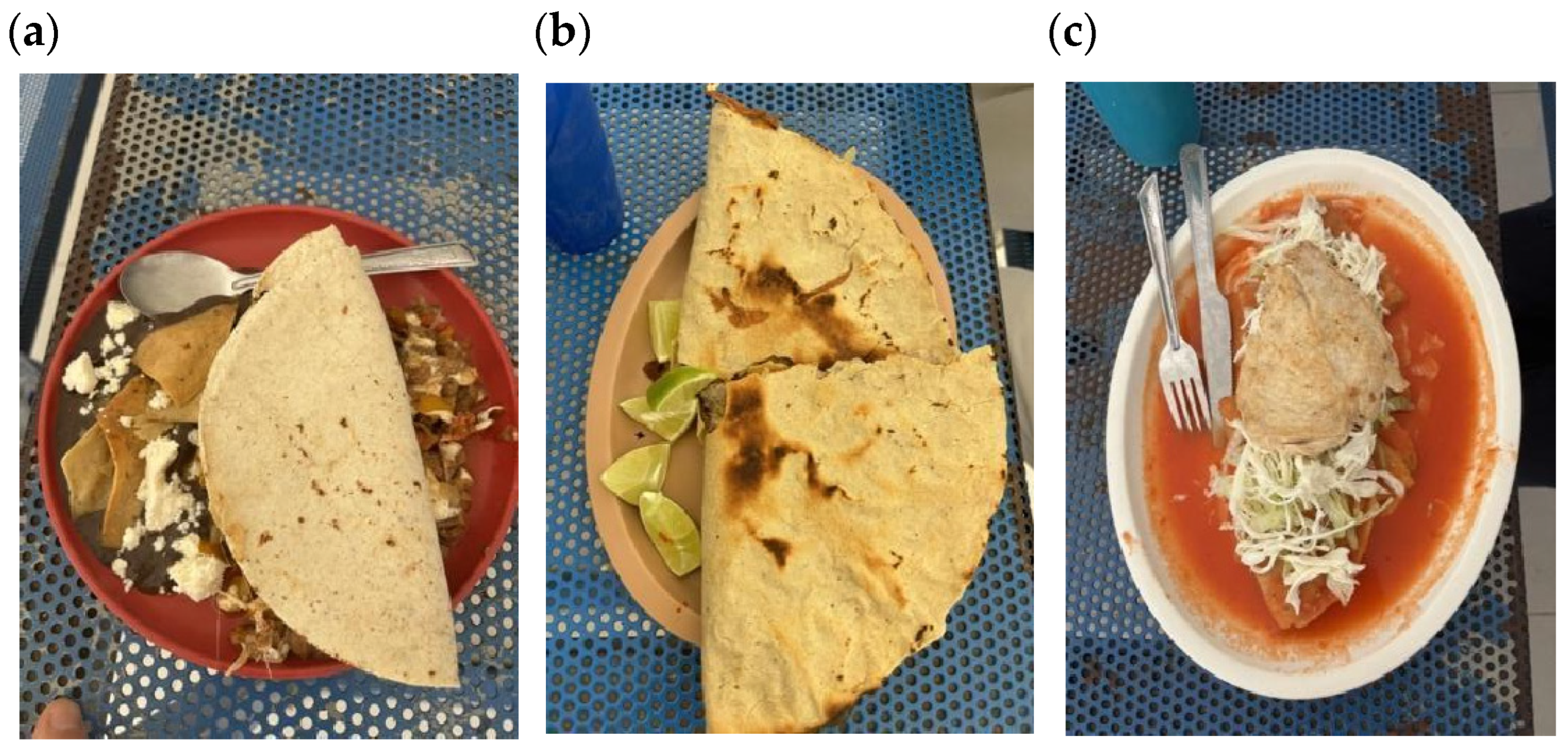 Nutrients 17 01263 g005a Nutrients 17 01263 g005a