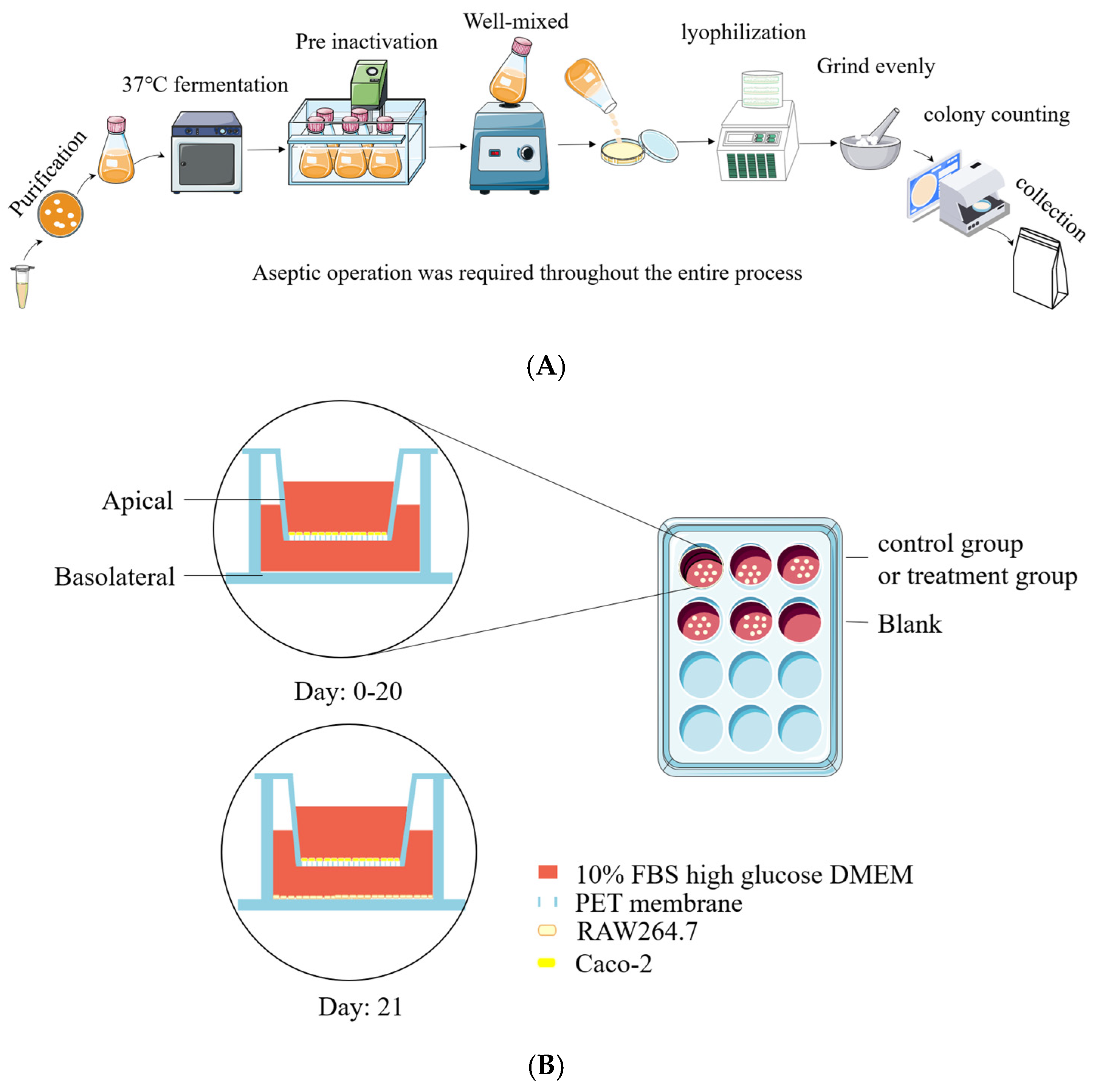 Nutrients 17 01272 g001