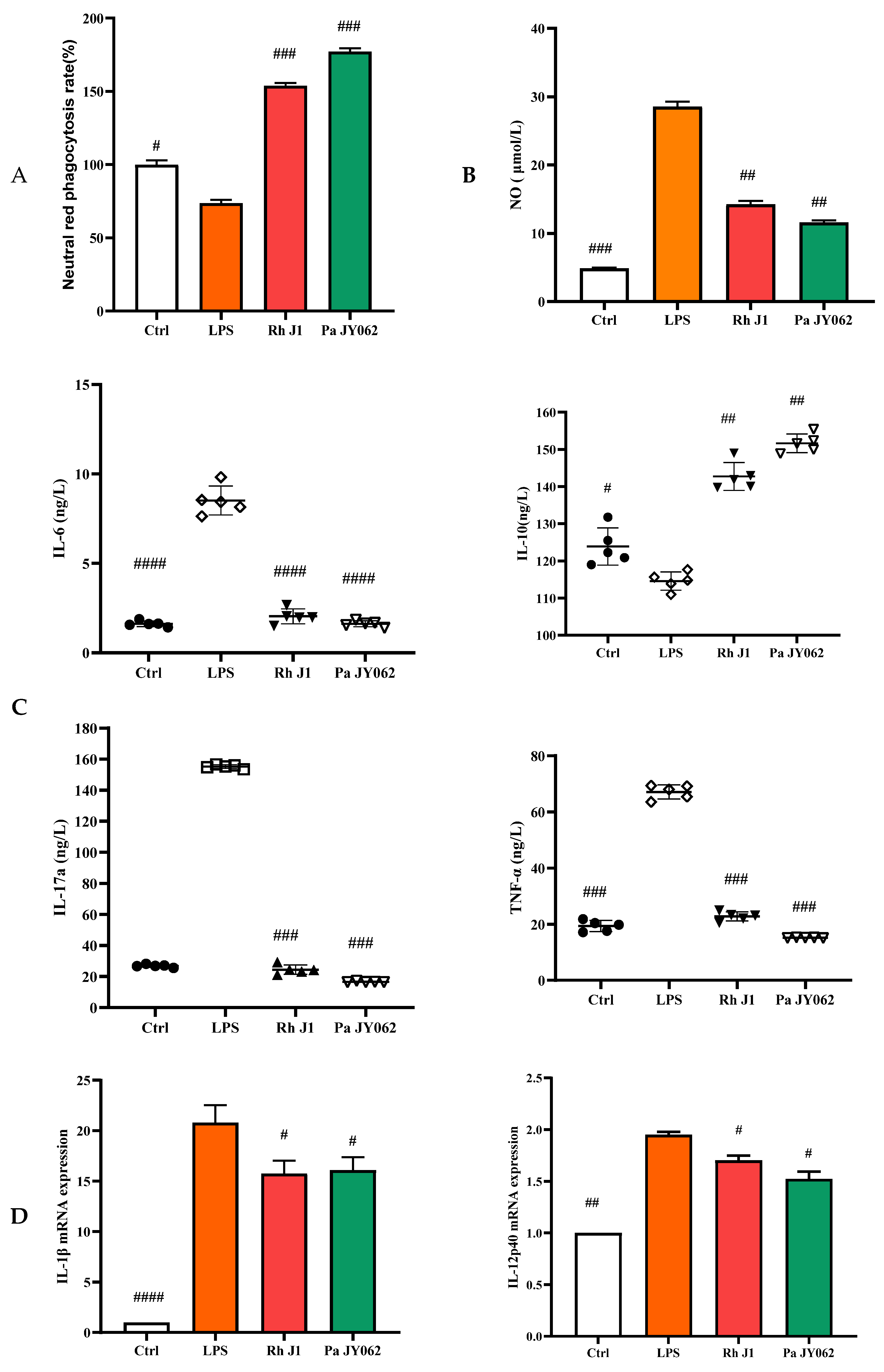 Nutrients 17 01272 g006a