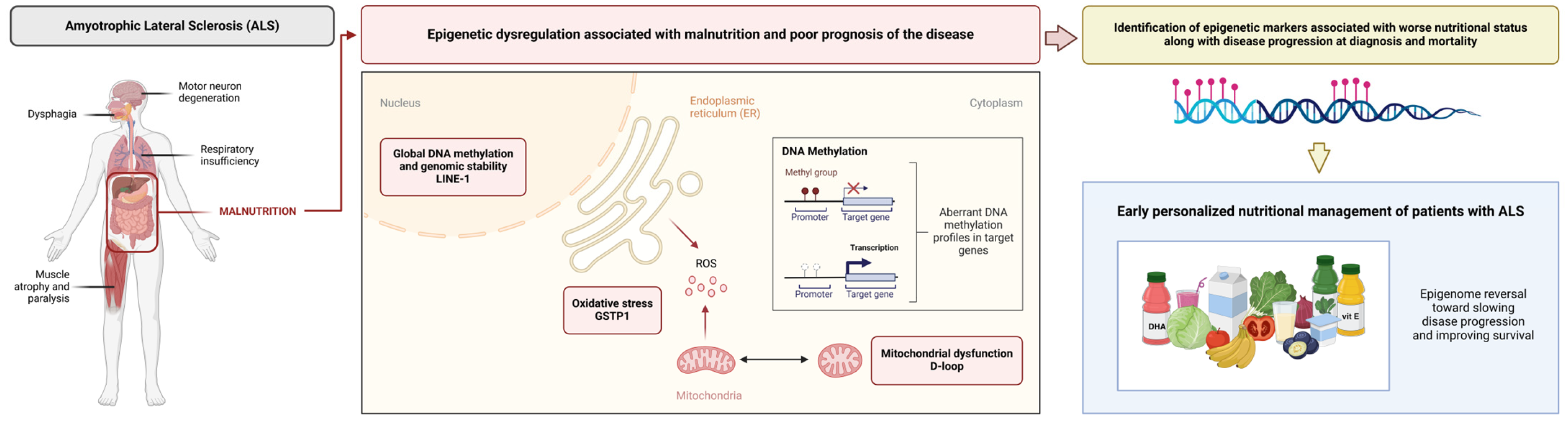 Nutrients 17 01295 g006 Nutrients 17 01295 g006