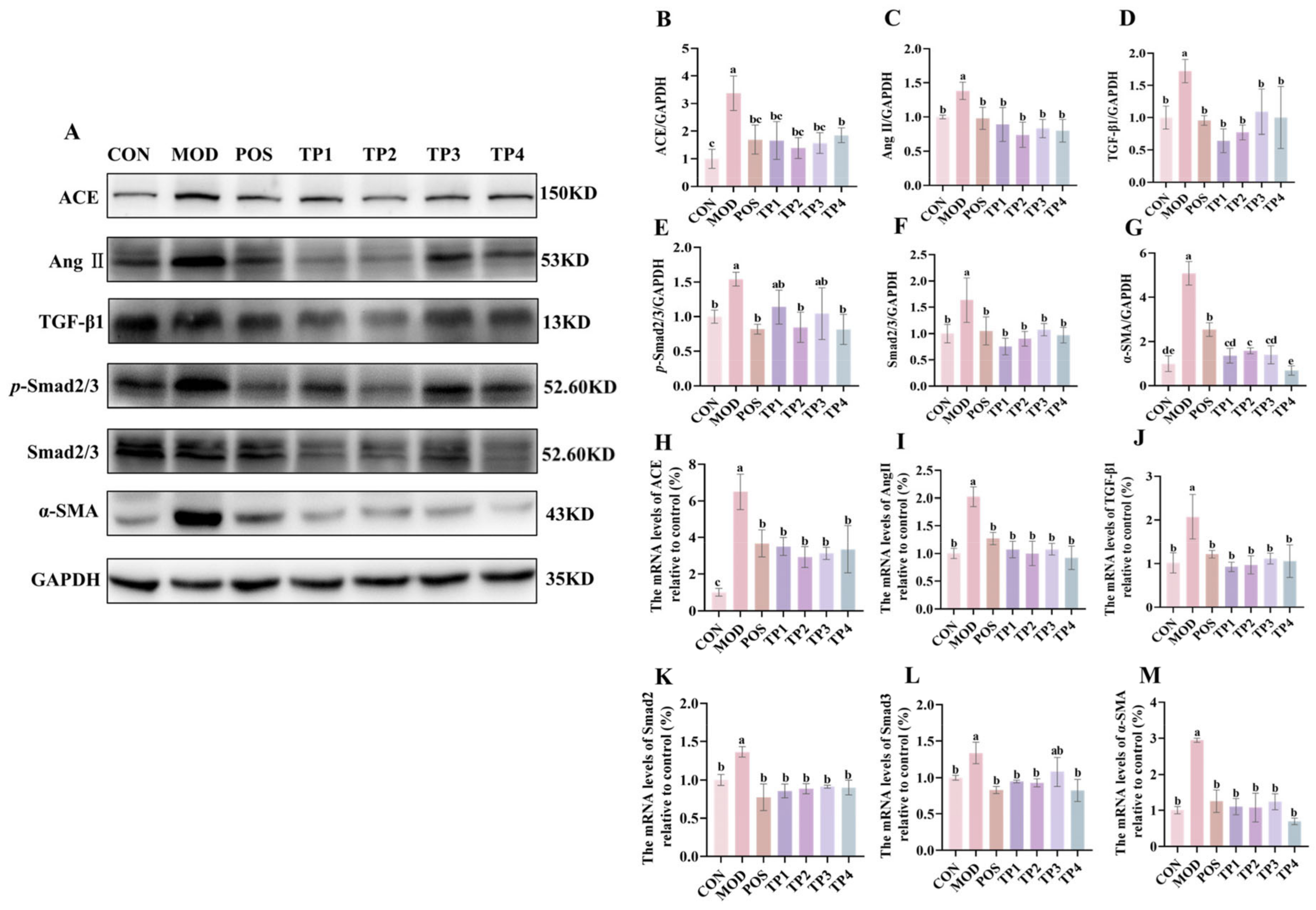Nutrients 17 01300 g003