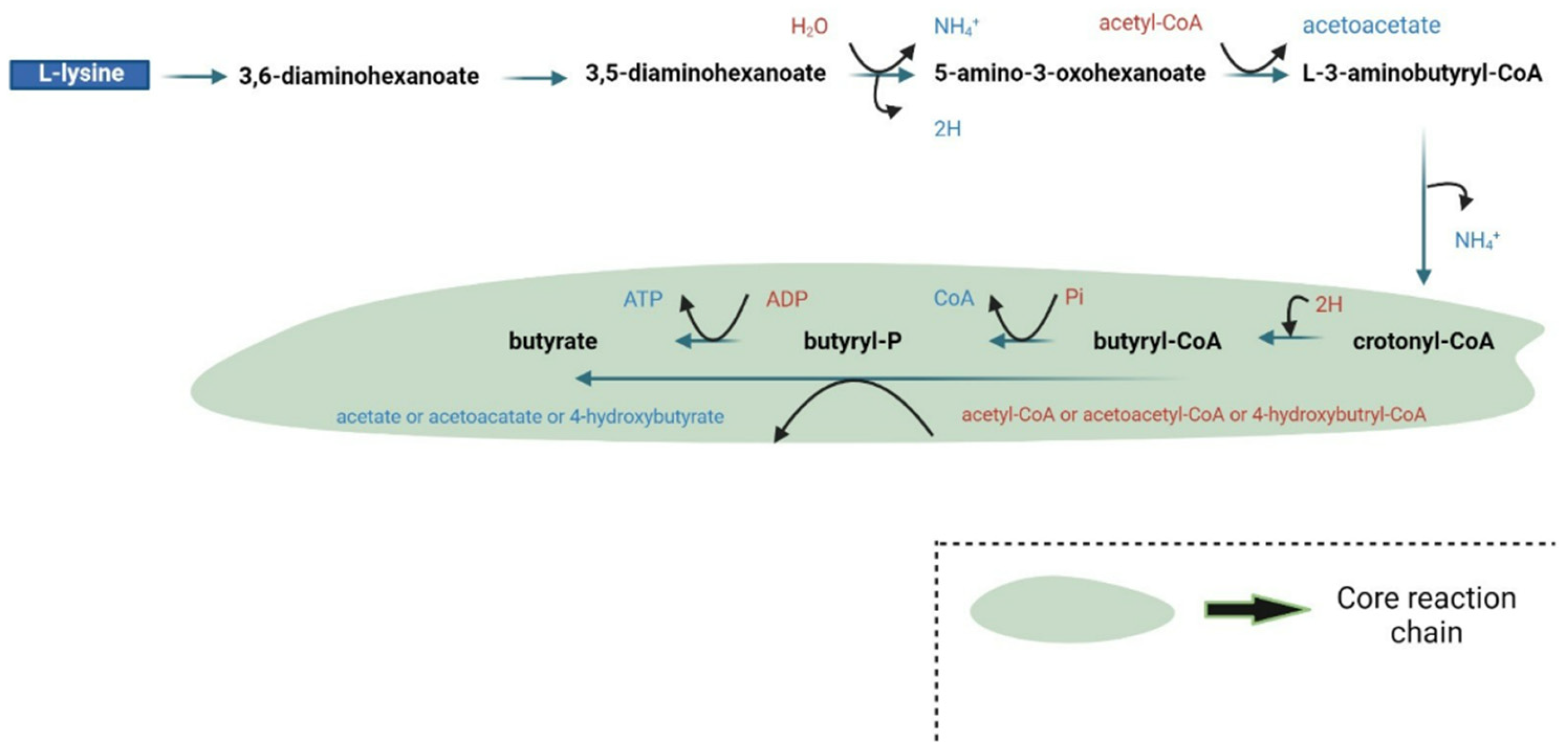 Nutrients 17 01305 g002