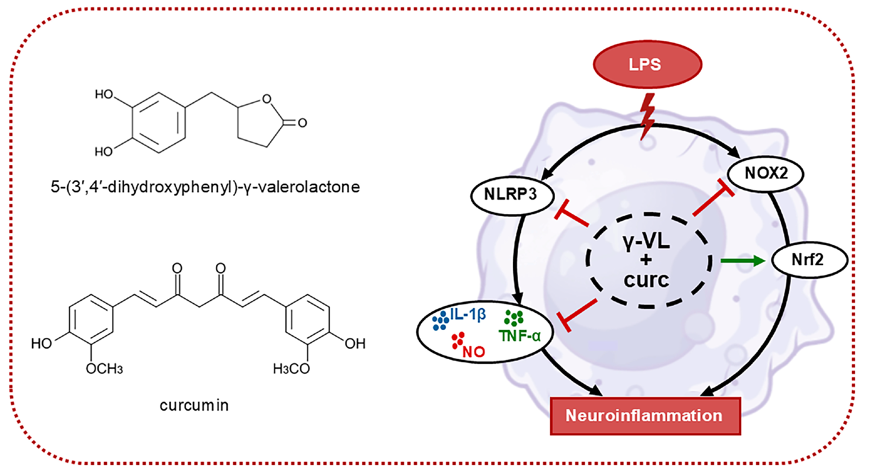 Nutrients 17 01316 g006
