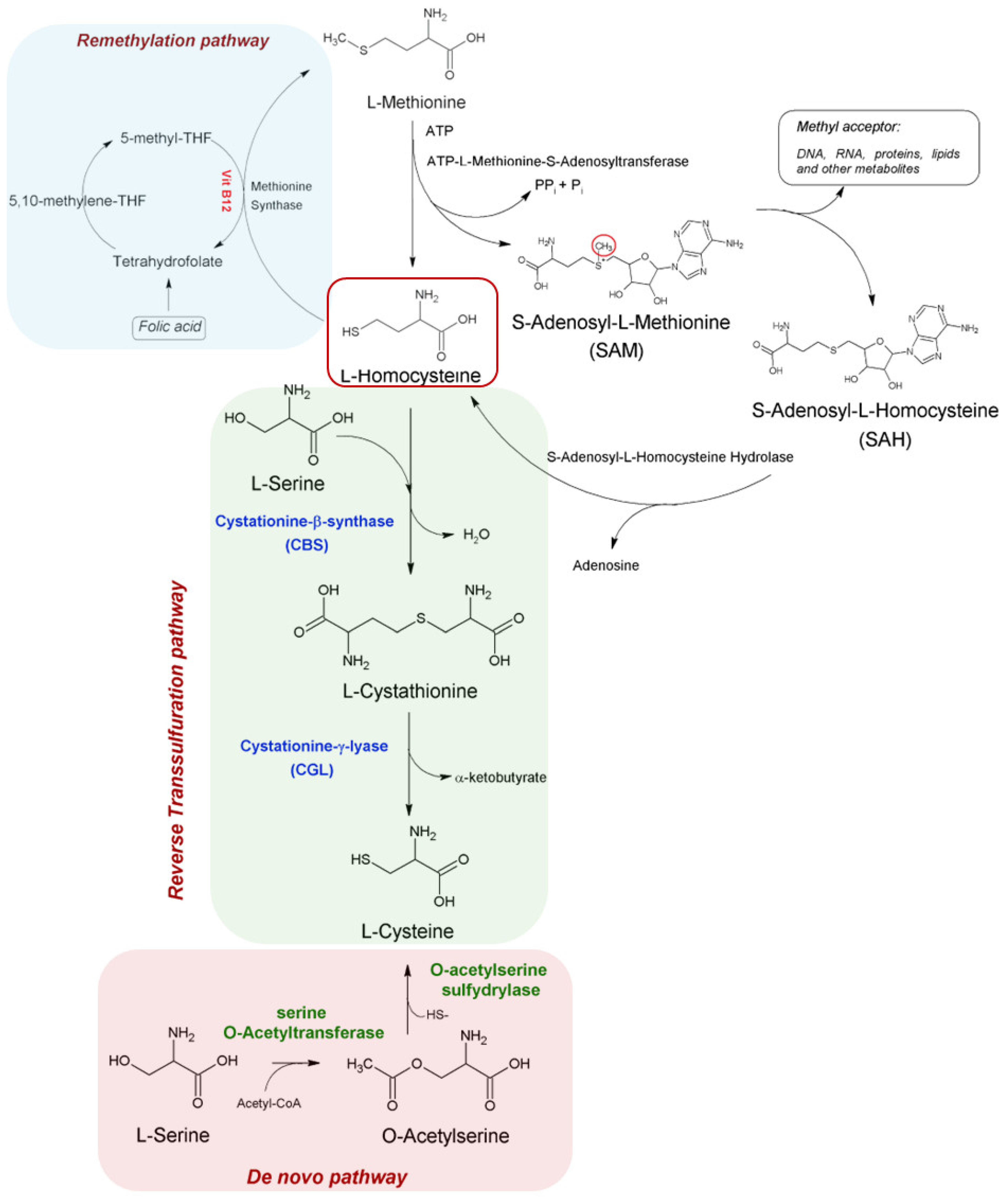 Nutrients 17 01325 g001