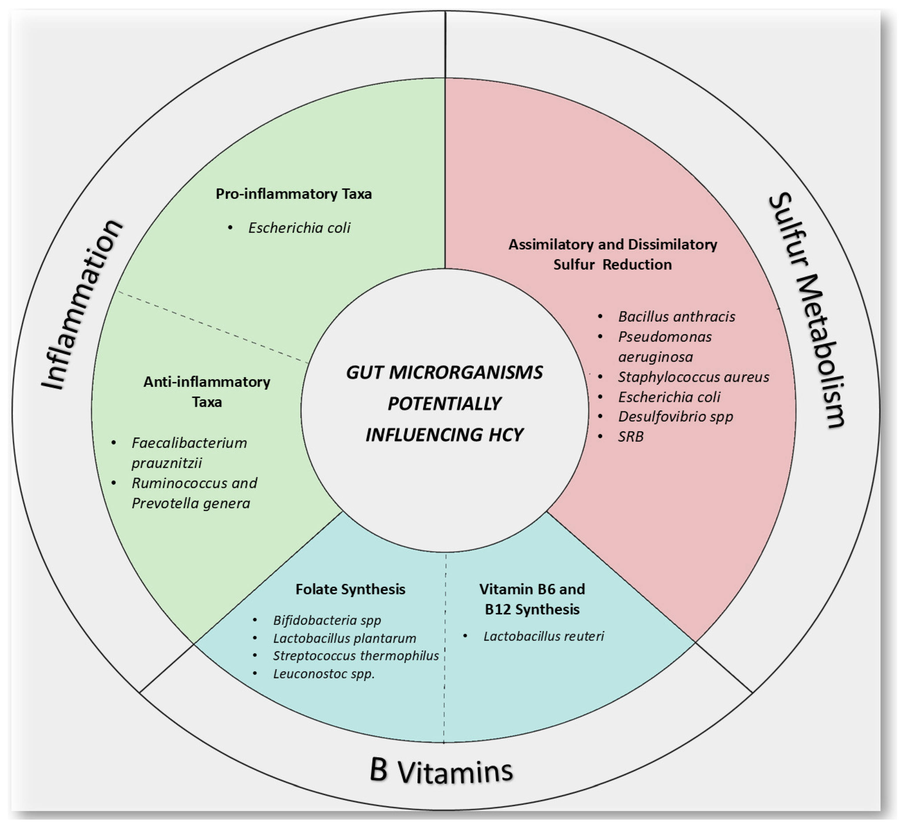 Nutrients 17 01325 g002