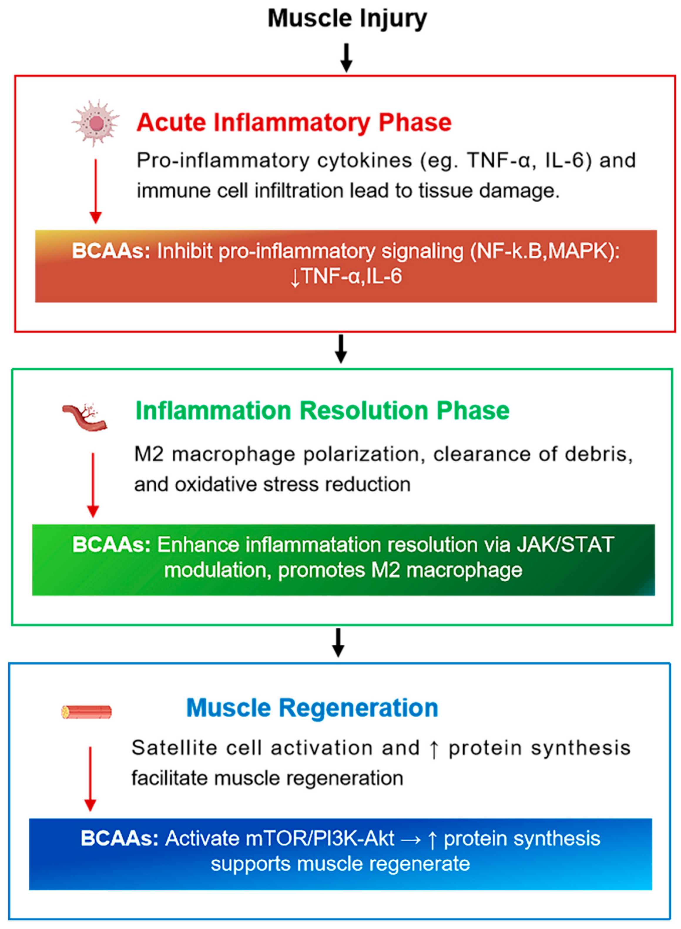 Nutrients 17 01335 g003