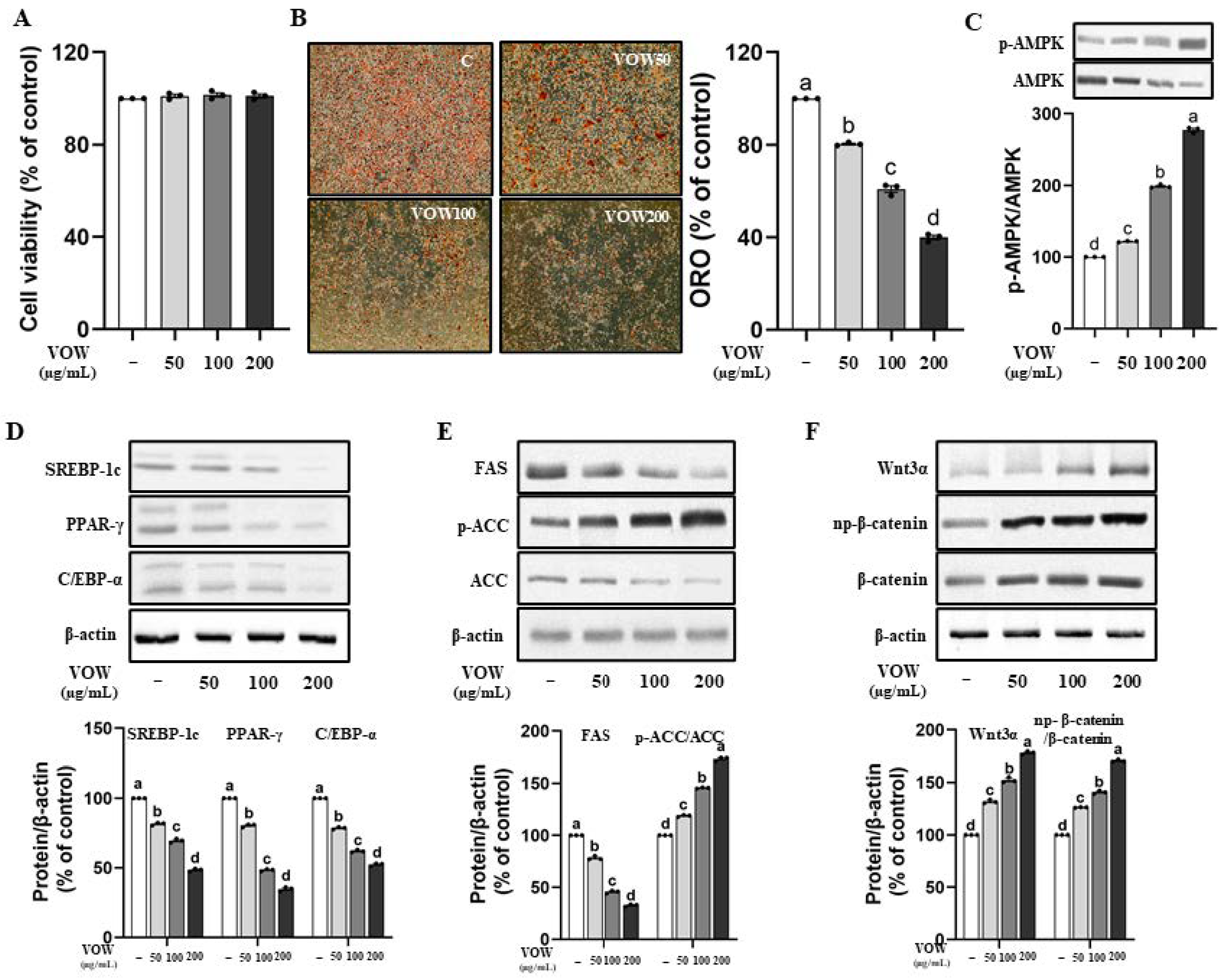 Nutrients 17 01346 g001