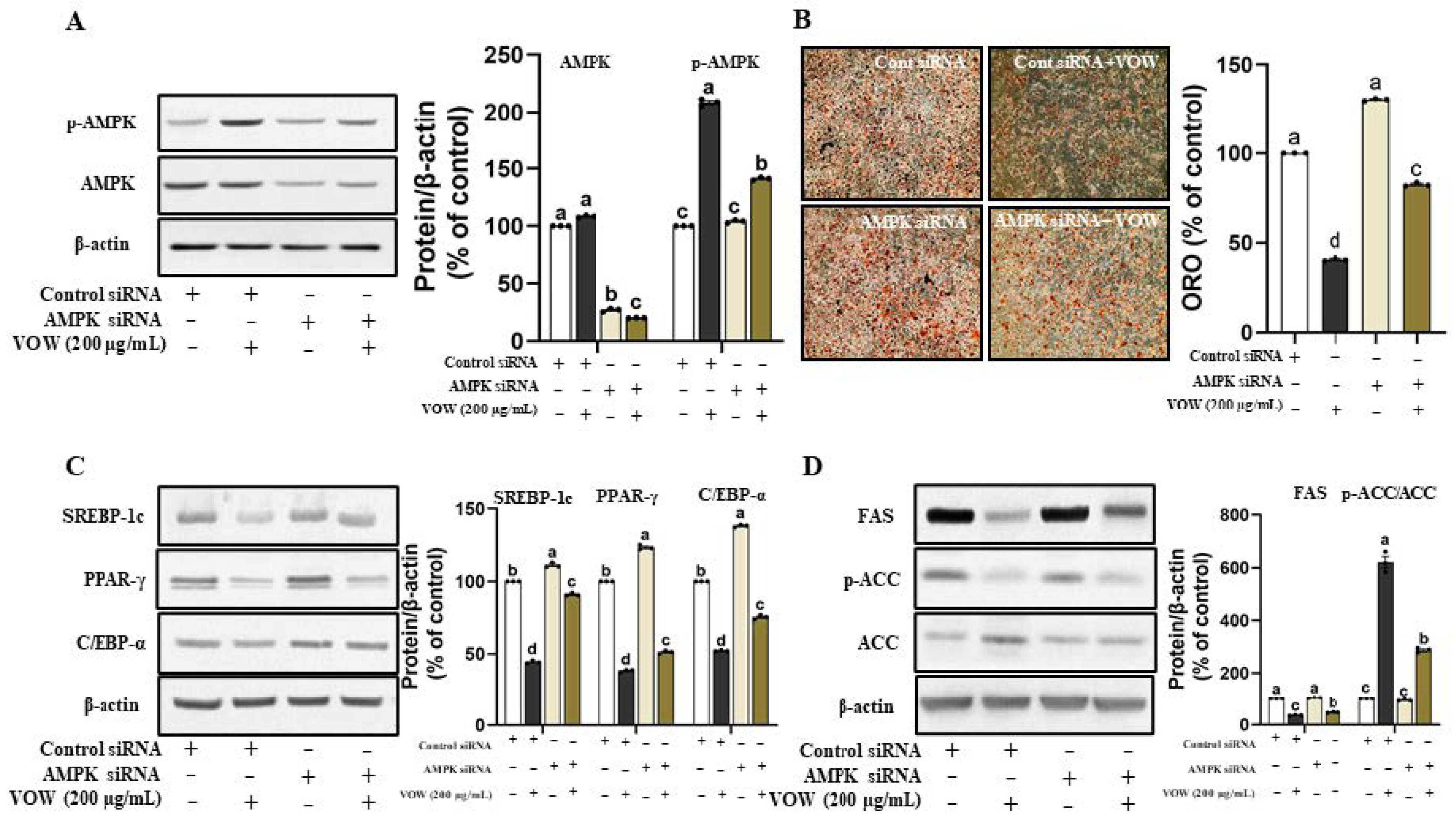 Nutrients 17 01346 g002