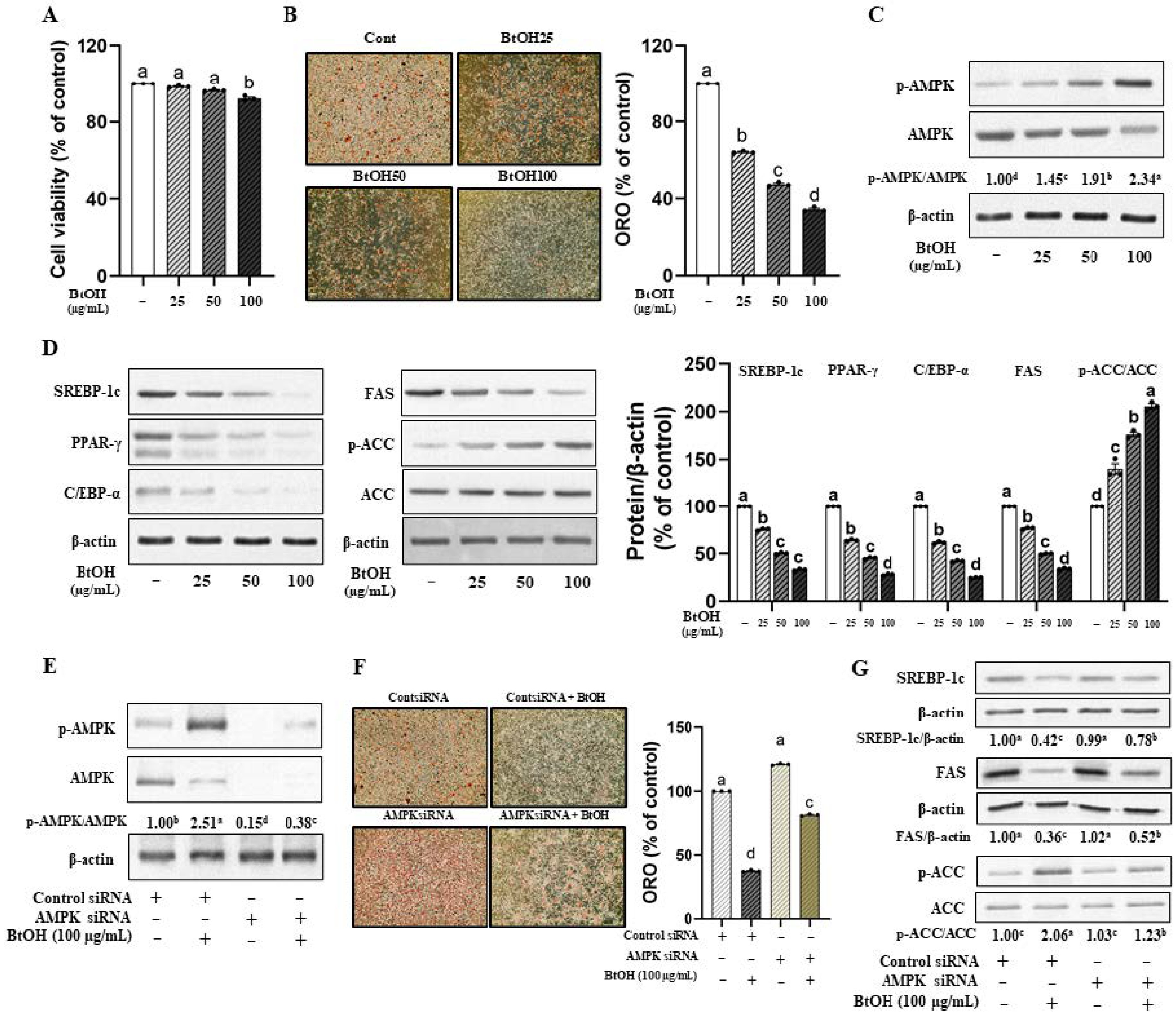 Nutrients 17 01346 g004