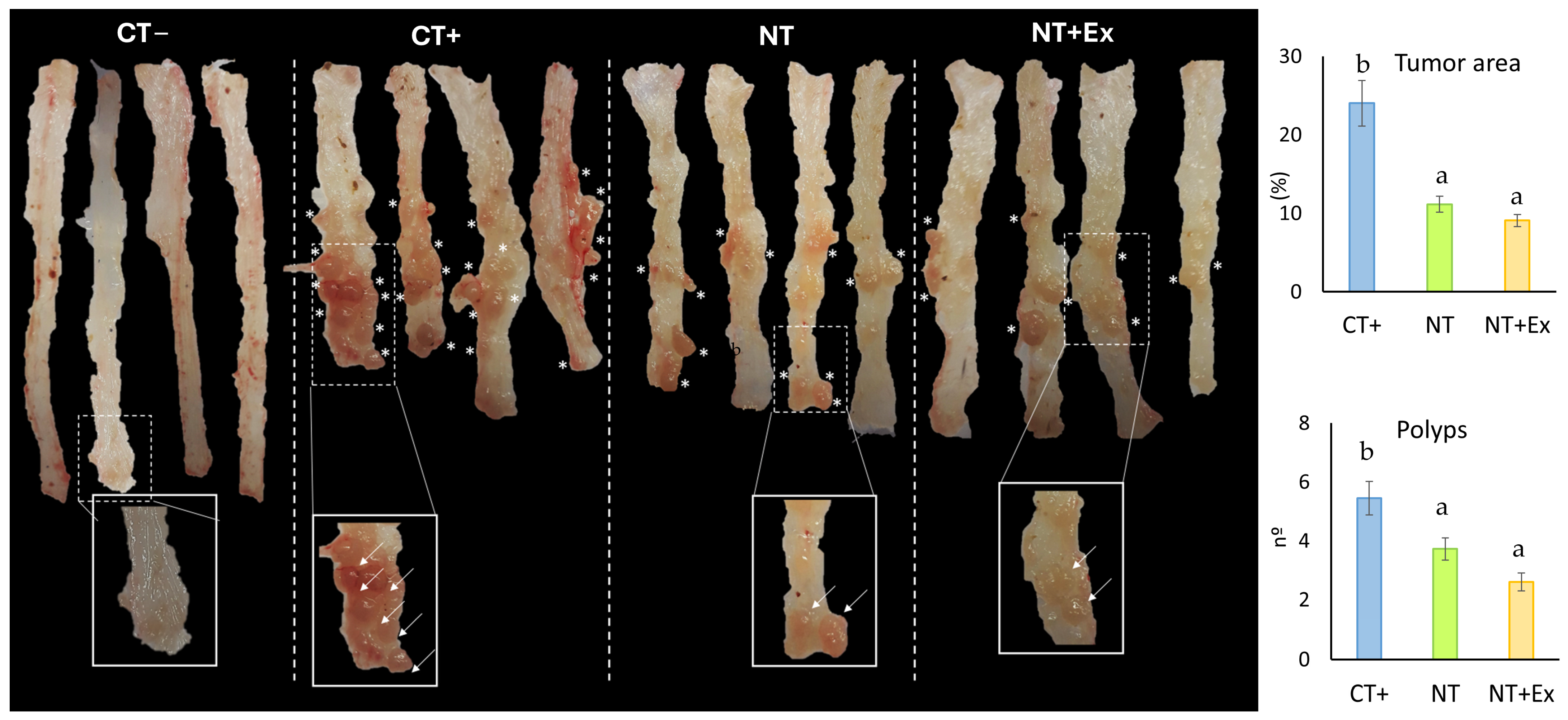 Nutrients 17 01358 g003