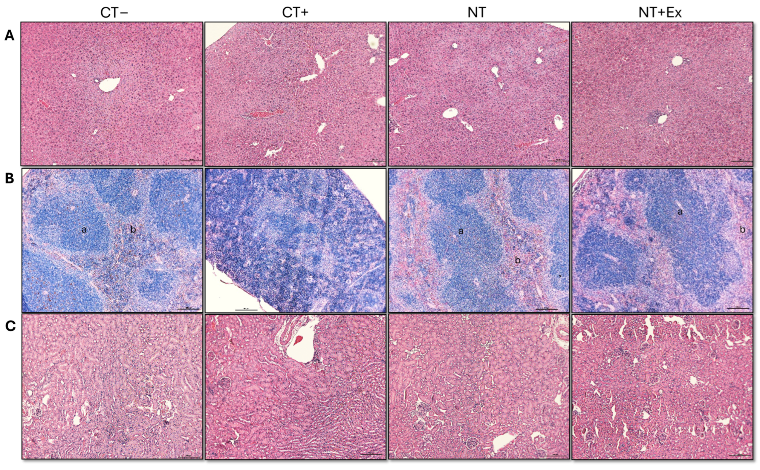 Nutrients 17 01358 g005
